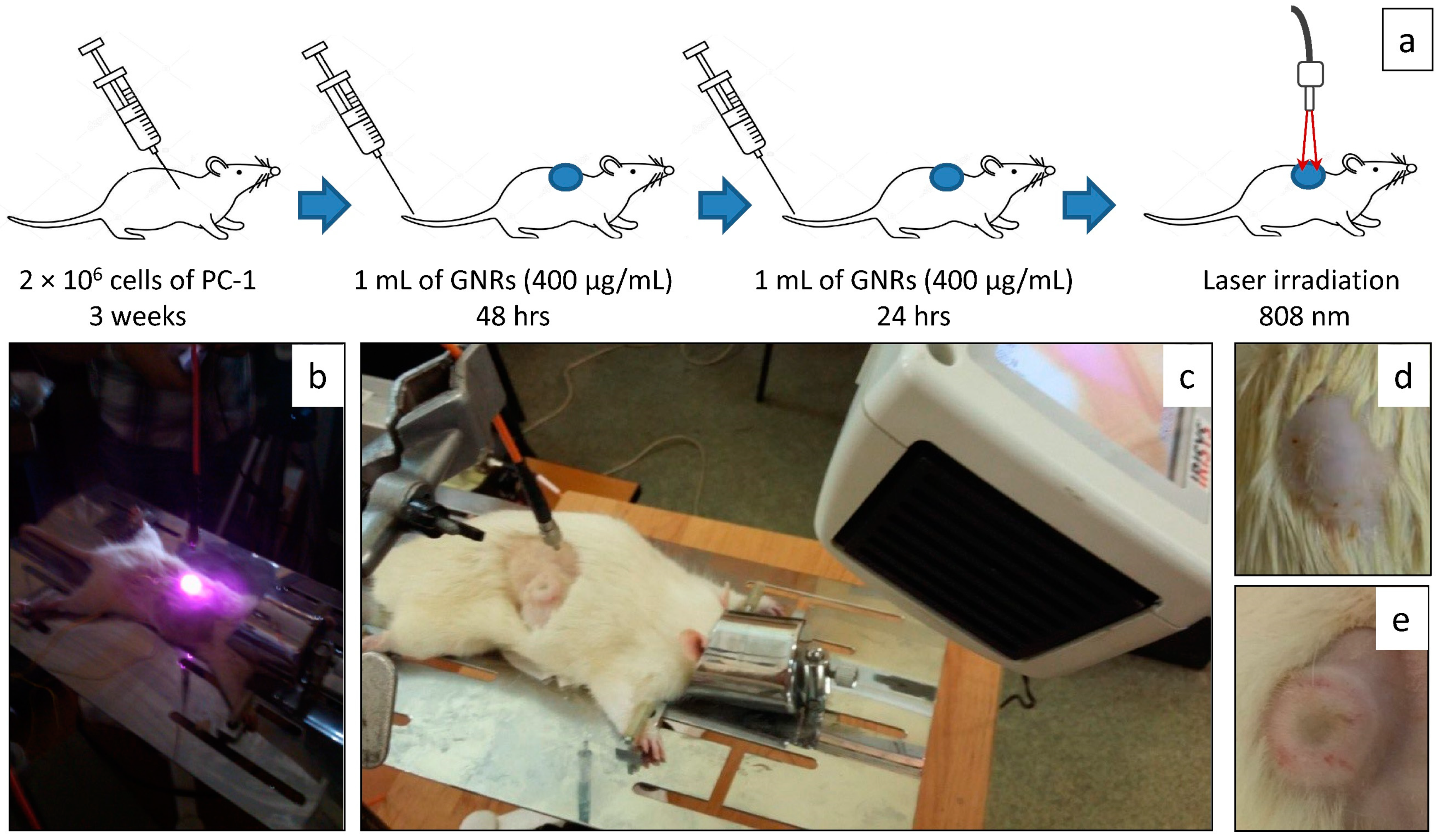 Photonics 09 00199 g002