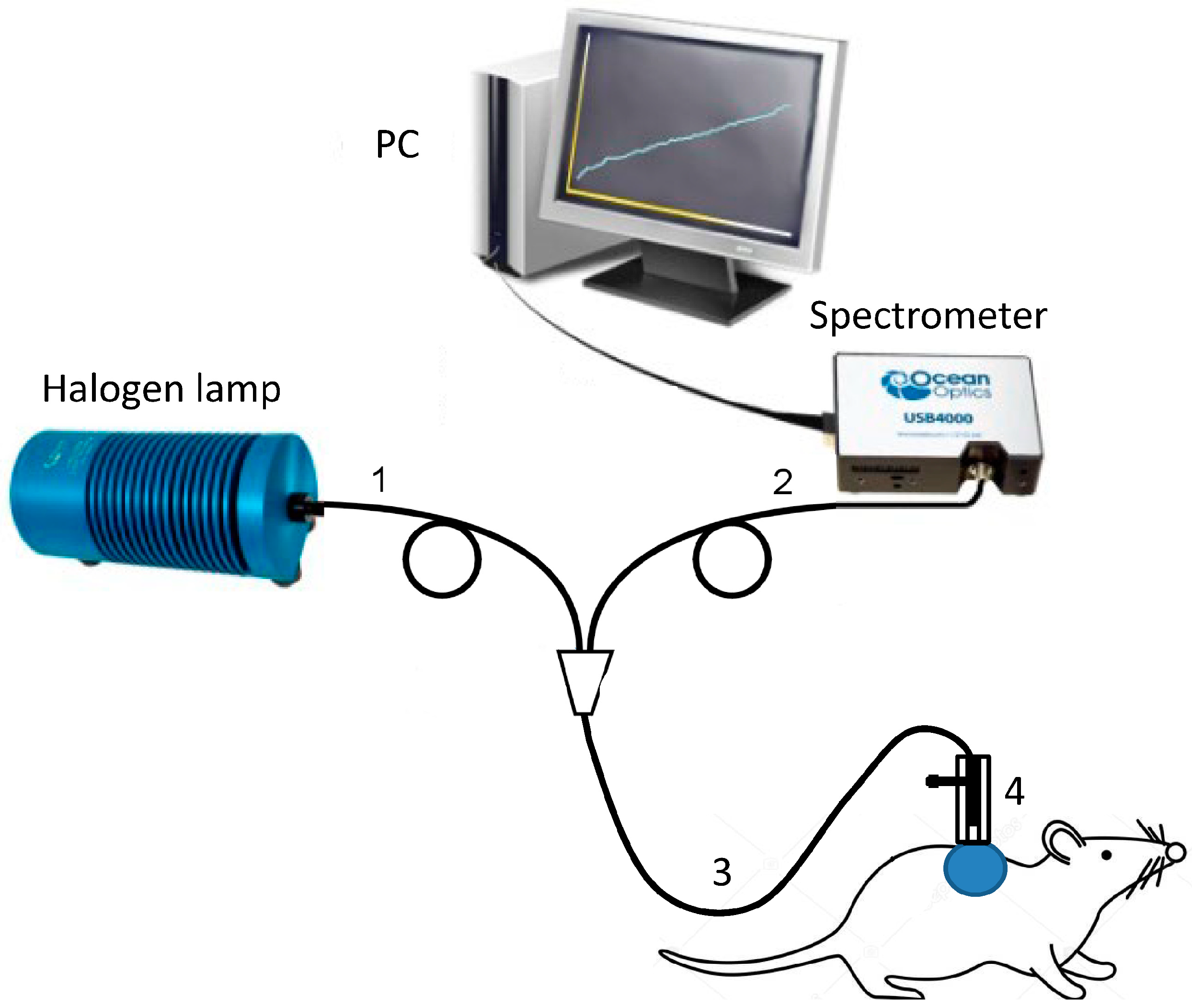 Photonics 09 00199 g003