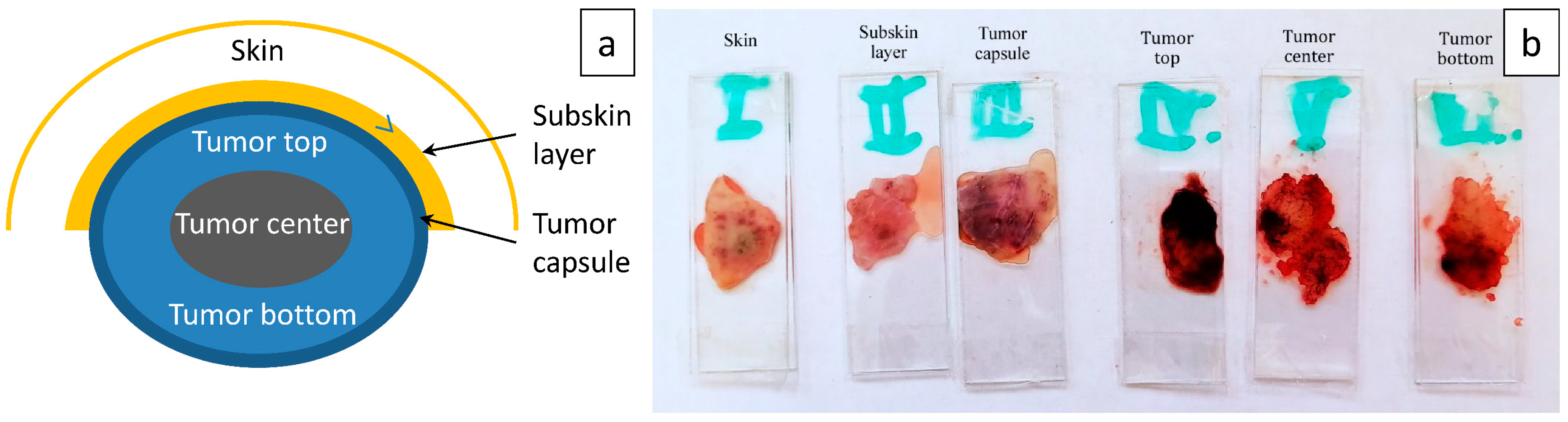 Photonics 09 00199 g004