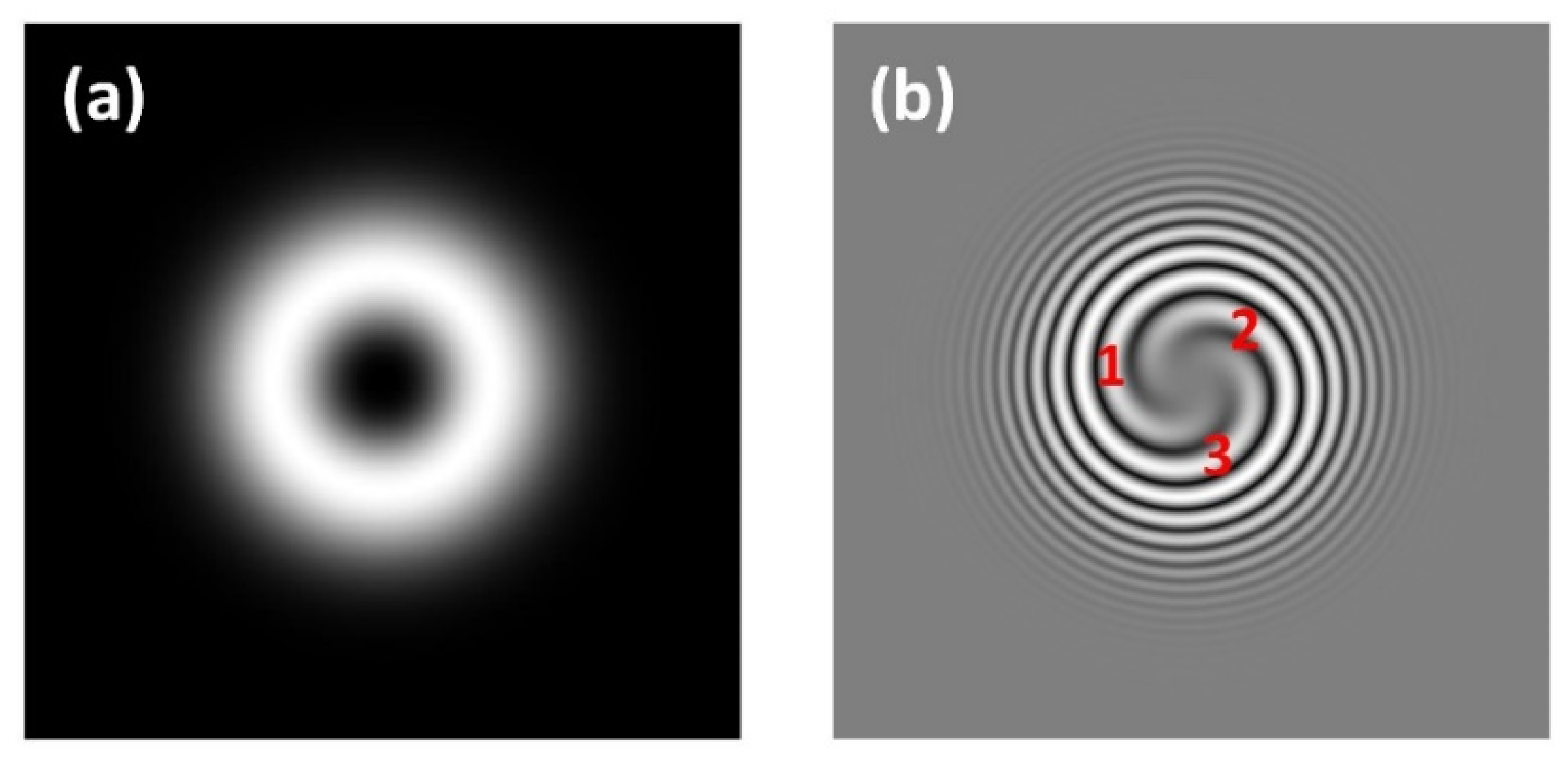 Photonics 09 00232 g005