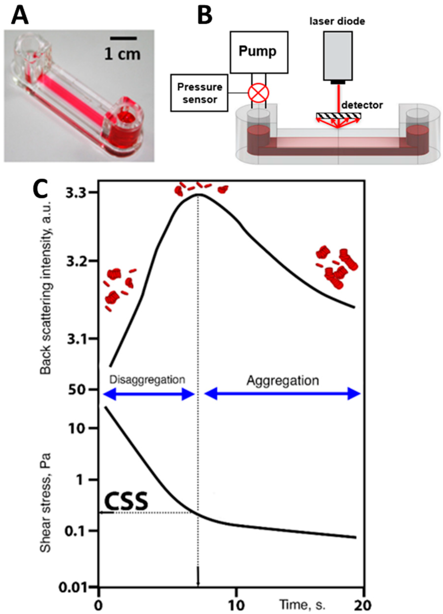 Photonics 09 00238 g004