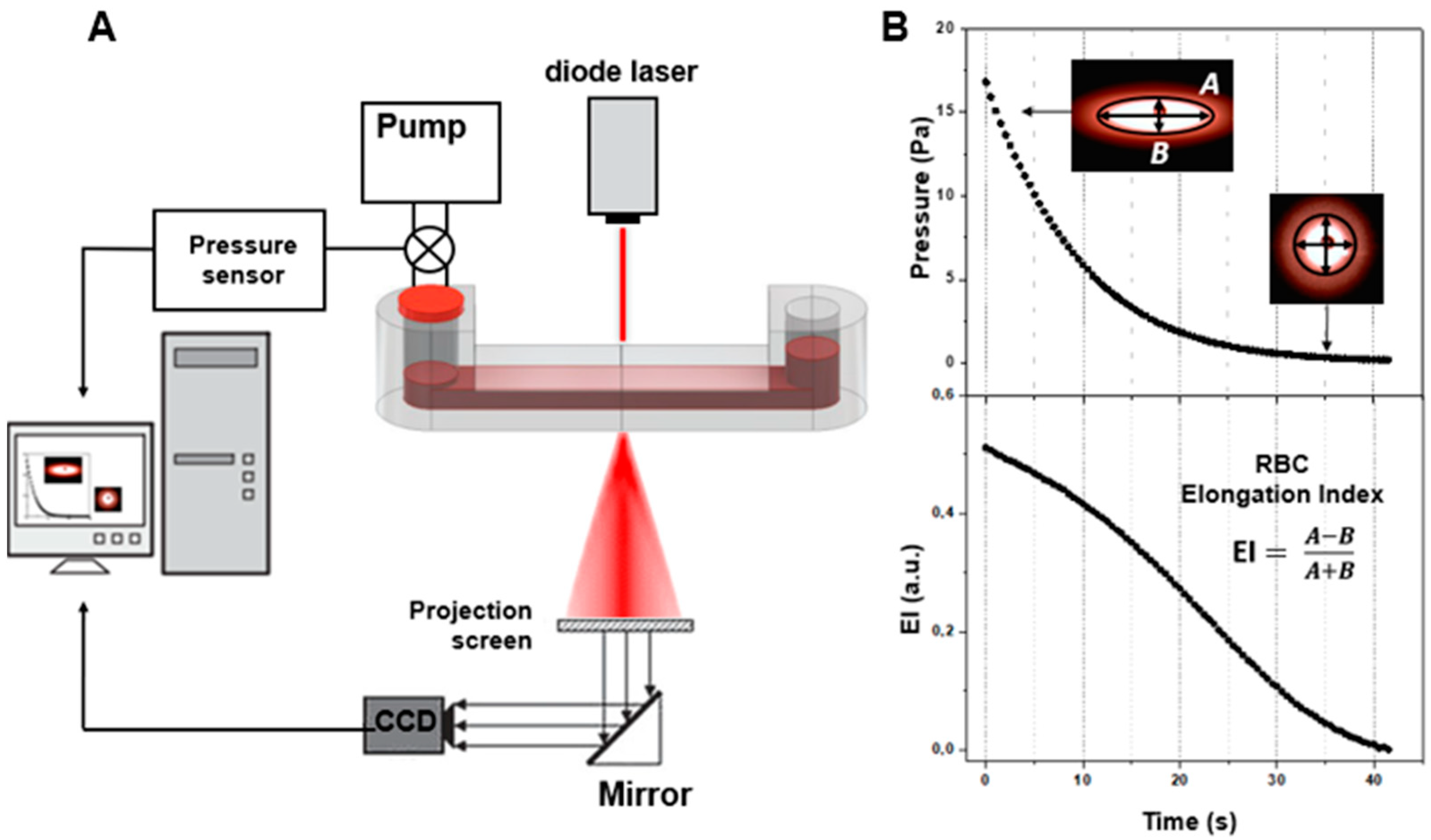 Photonics 09 00238 g005