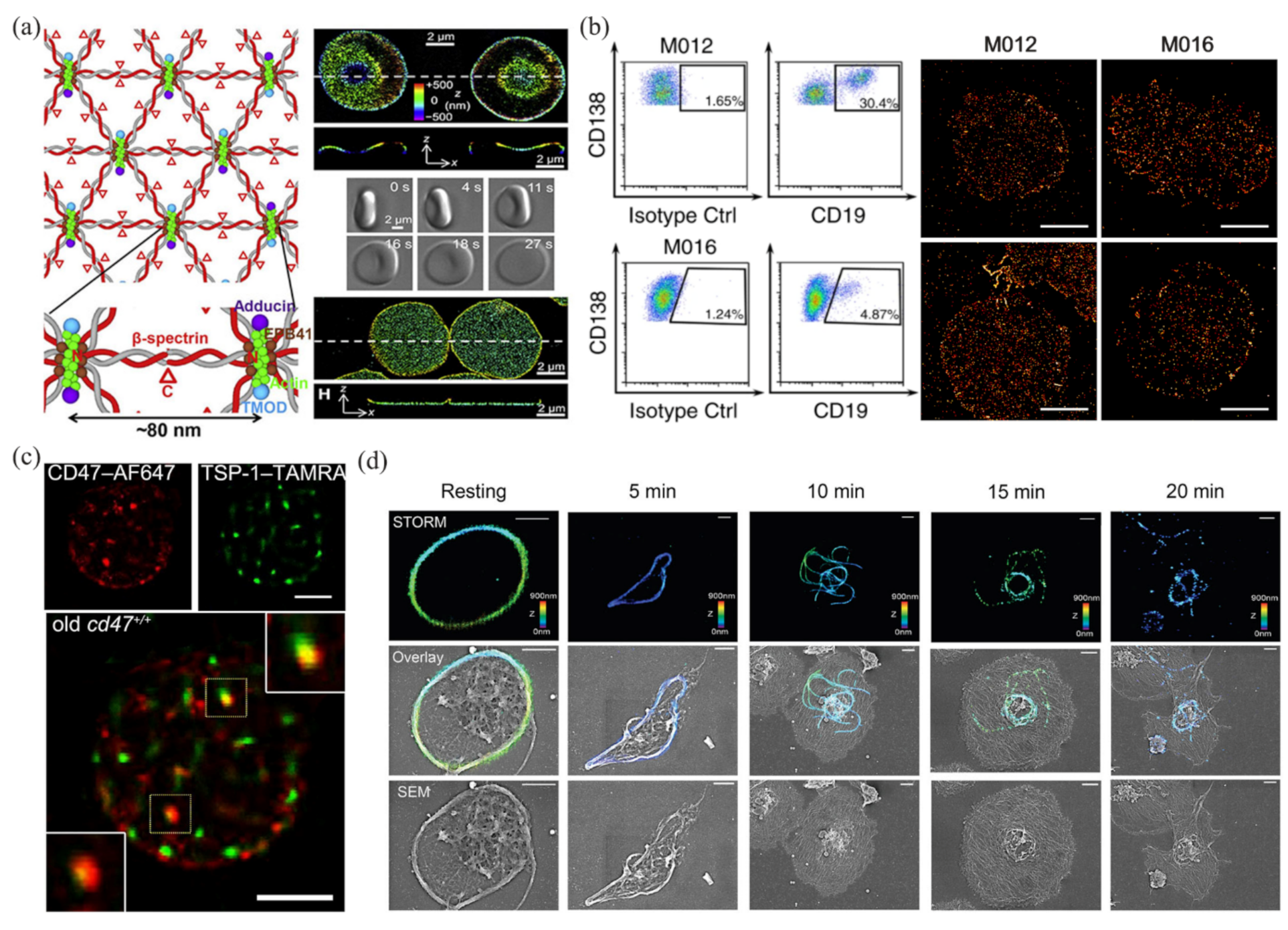 Photonics 09 00261 g002