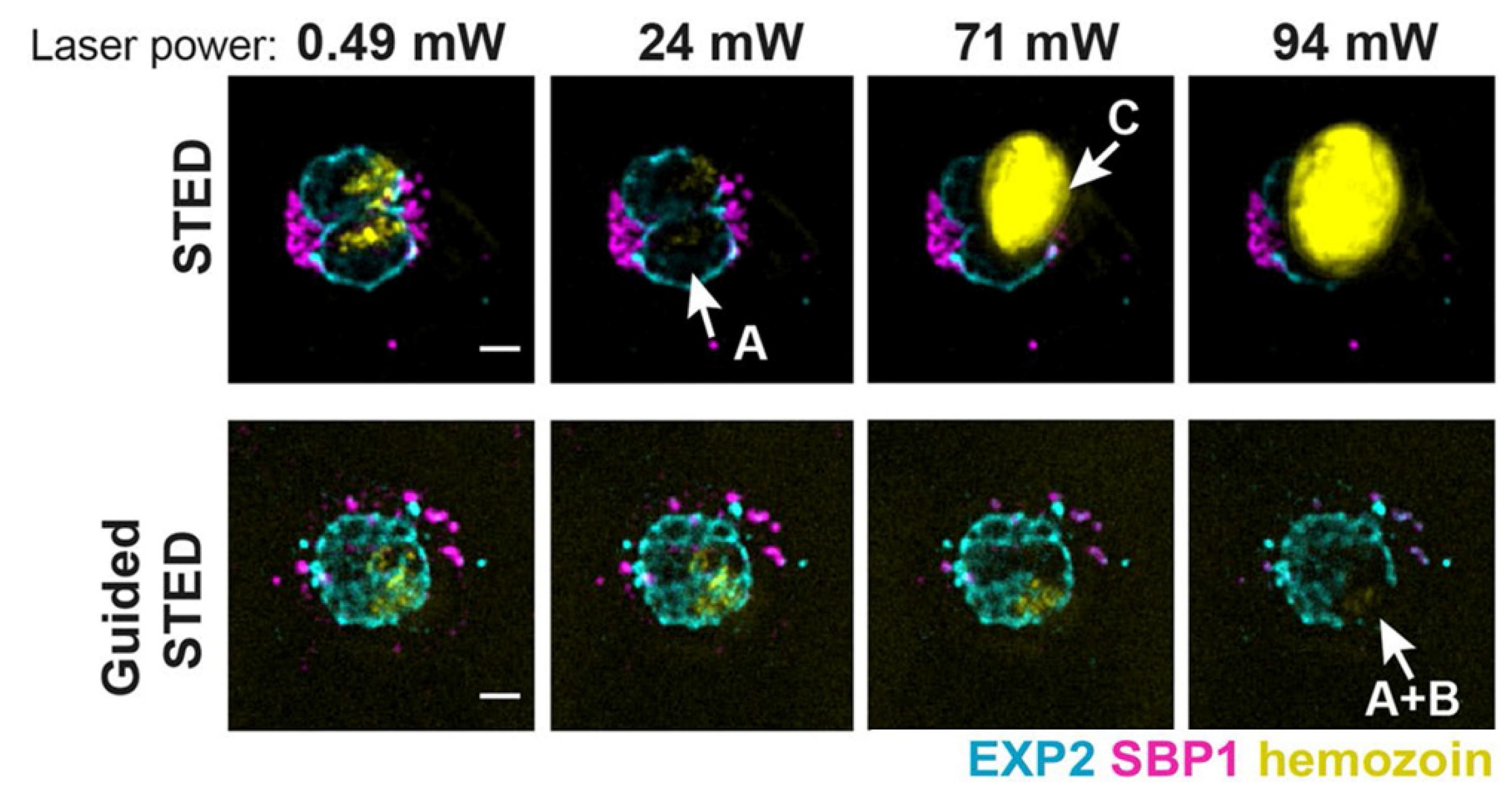 Photonics 09 00261 g004