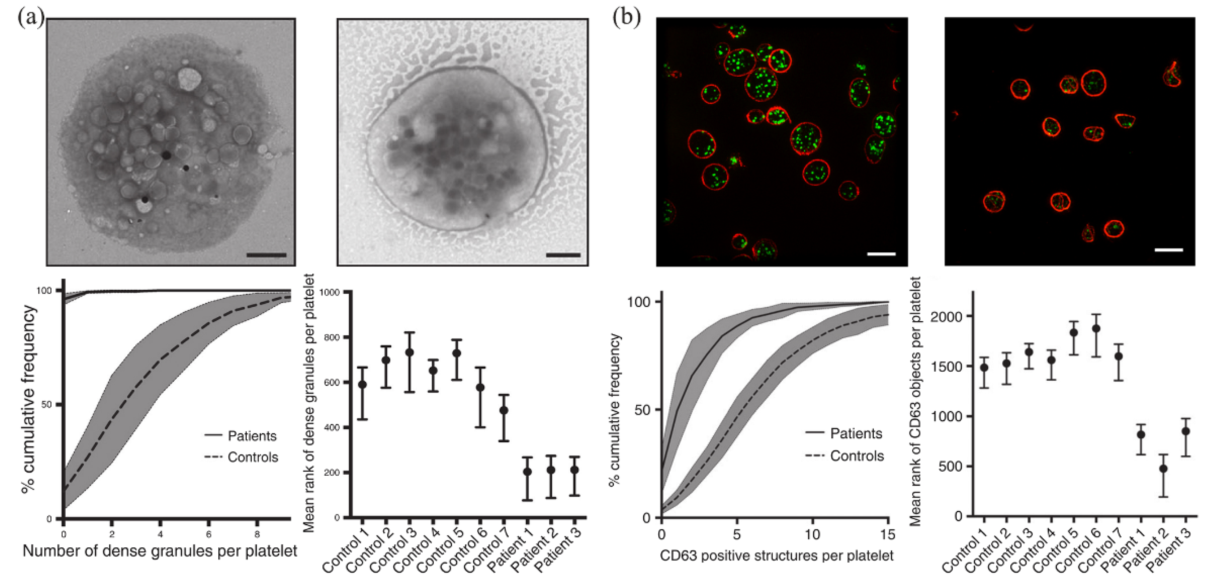Photonics 09 00261 g006