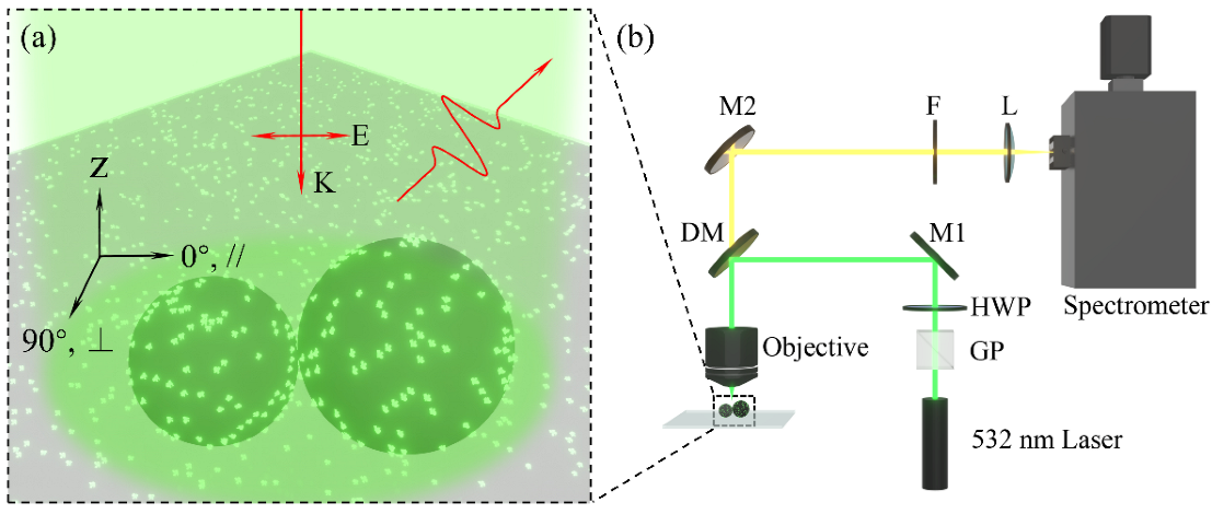 Photonics 09 00267 g002