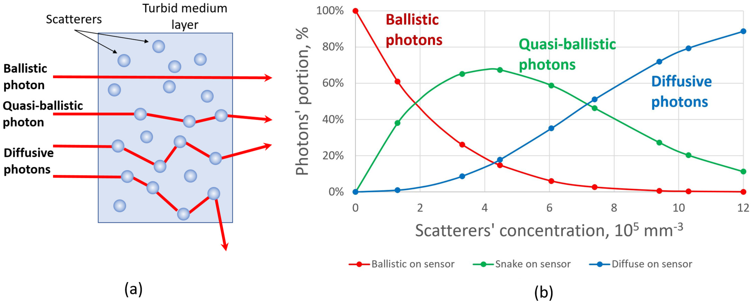 Photonics 09 00296 g002