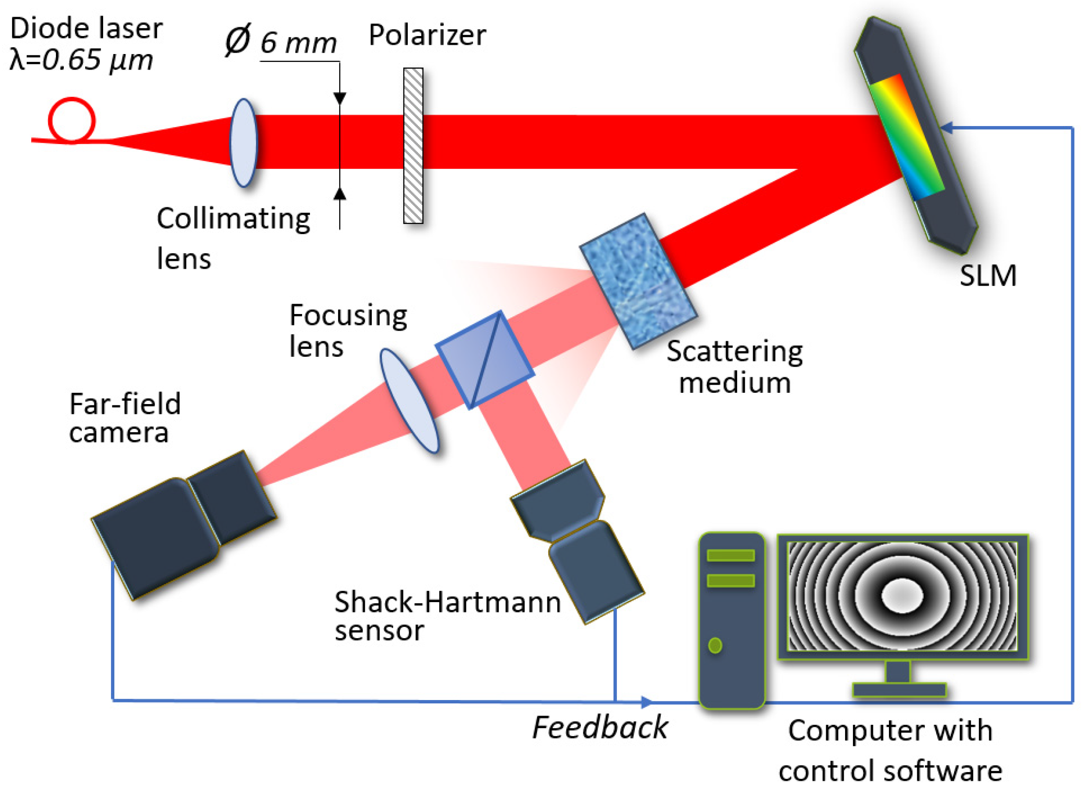 Photonics 09 00296 g005
