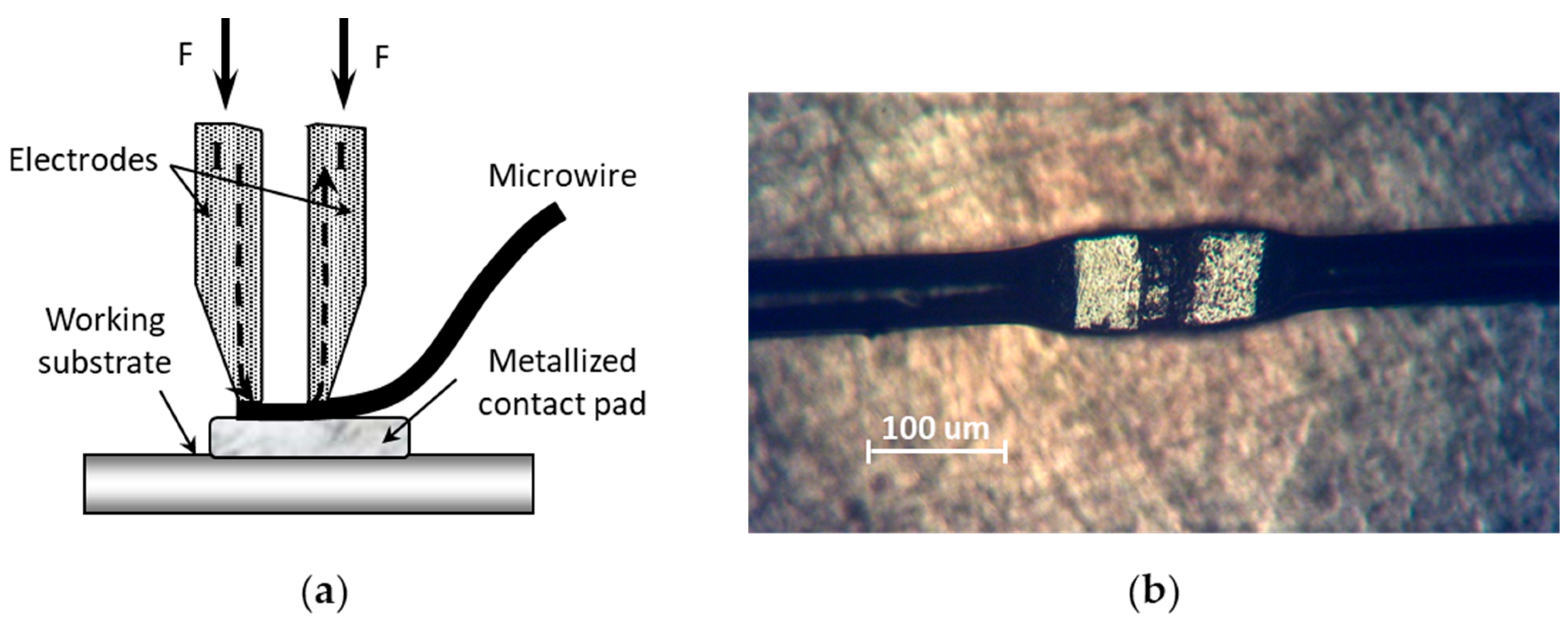 Photonics 09 00321 g003