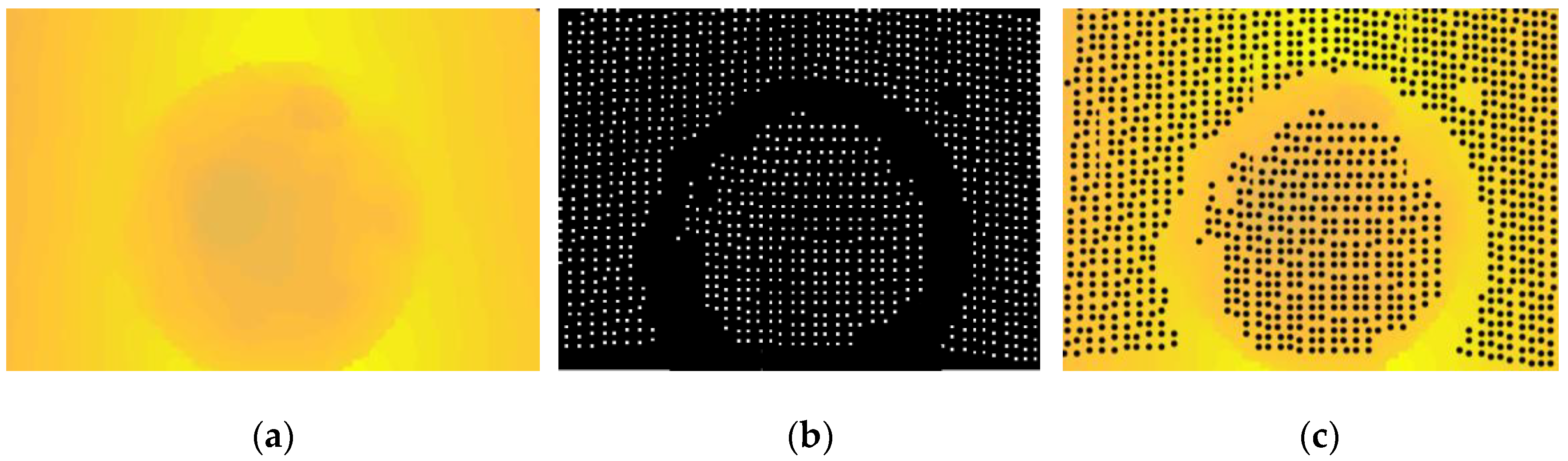 Photonics 09 00333 g003