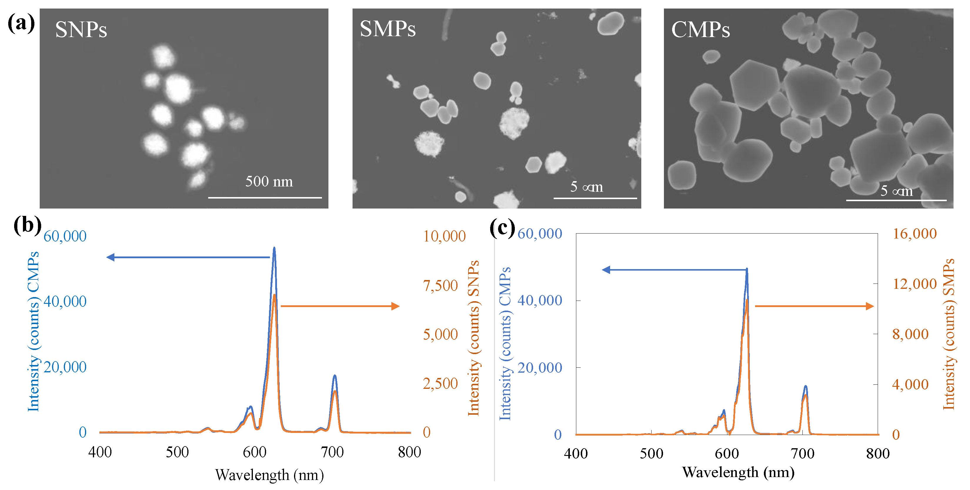 Photonics 09 00347 g003