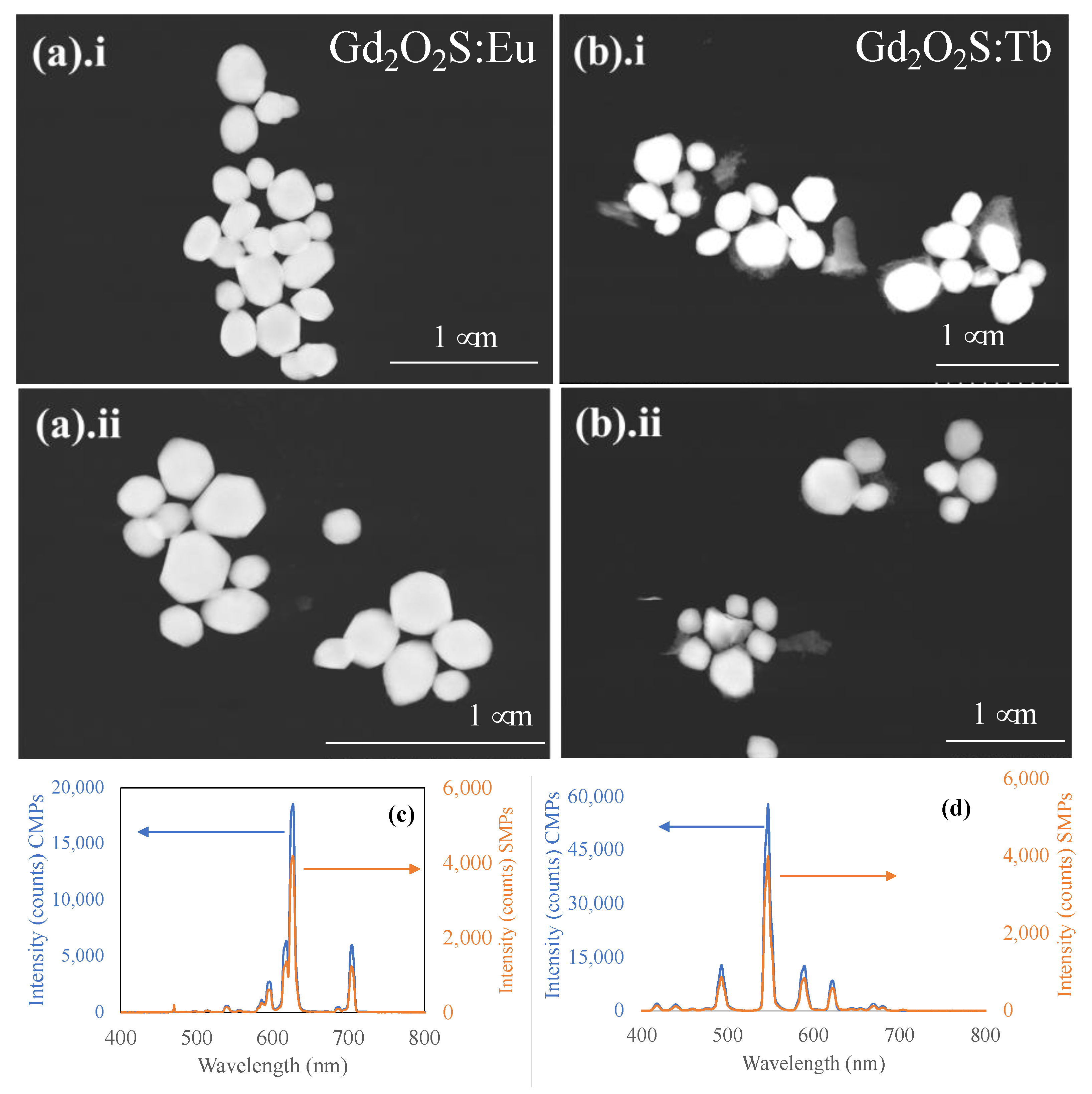 Photonics 09 00347 g004