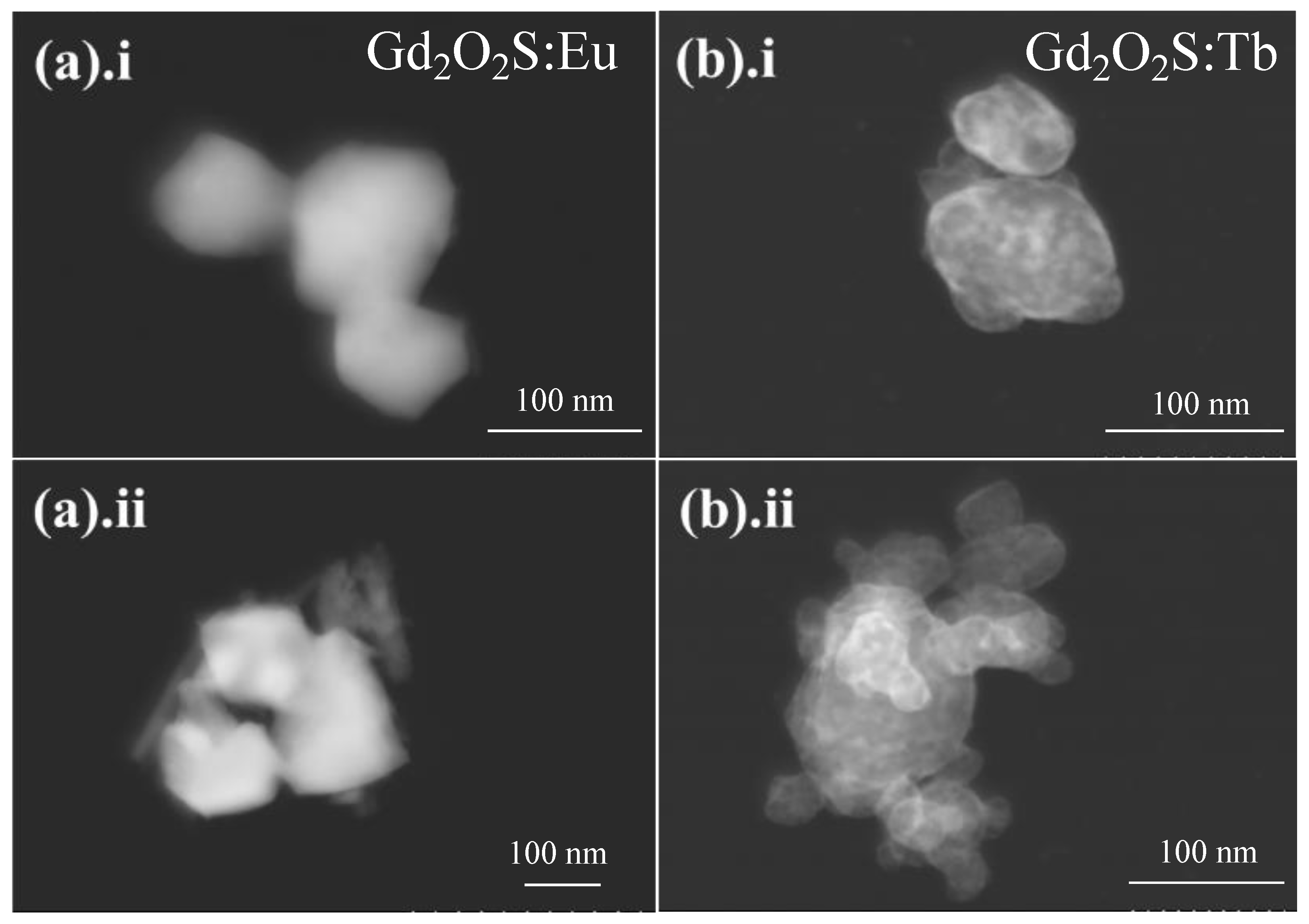 Photonics 09 00347 g005