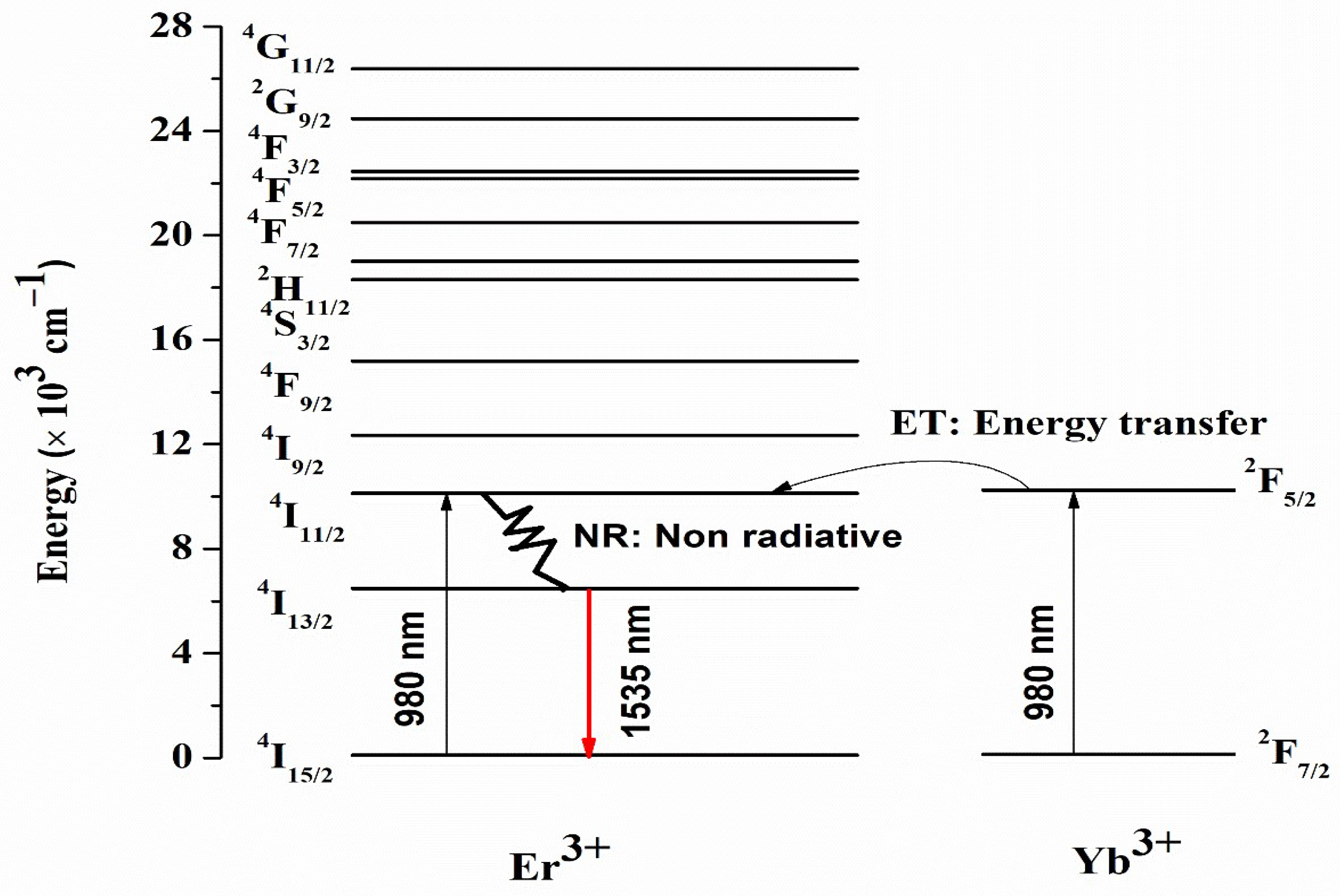 Photonics 09 00355 g007