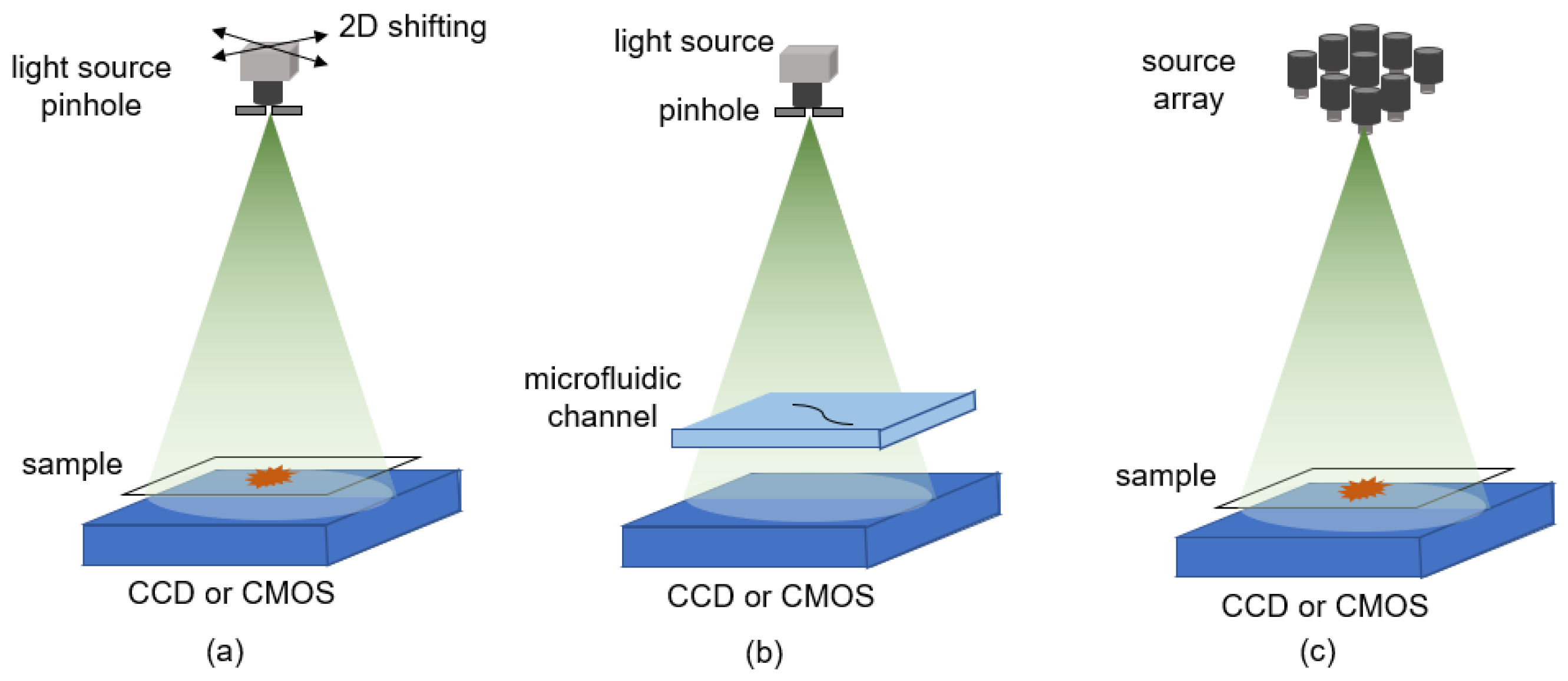 Photonics 09 00358 g005