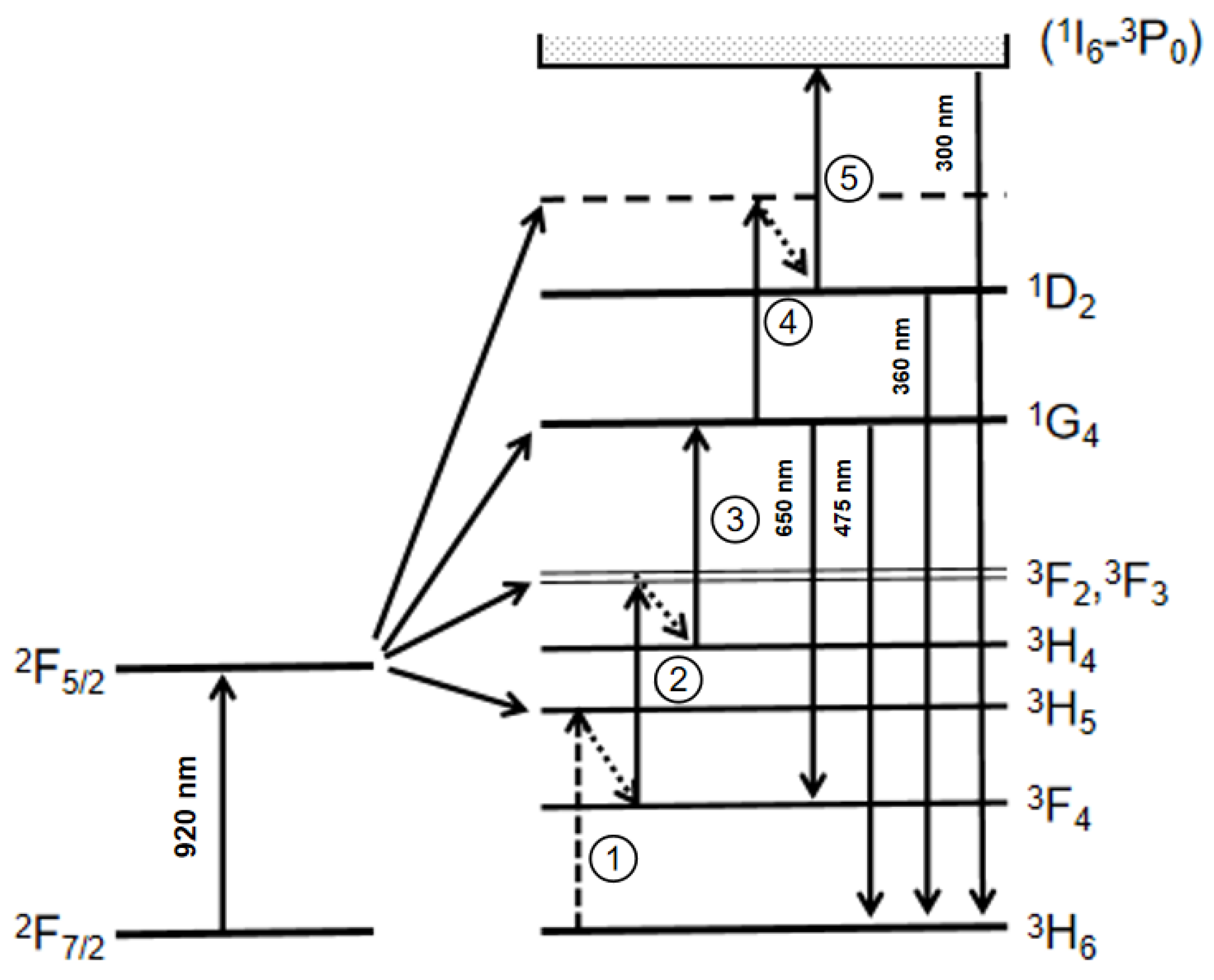 Photonics 09 00370 g005