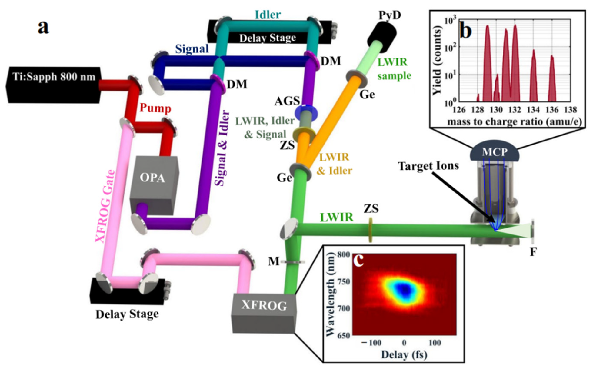 Photonics 09 00372 g004