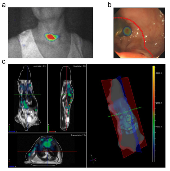 Photonics 09 00390 g002