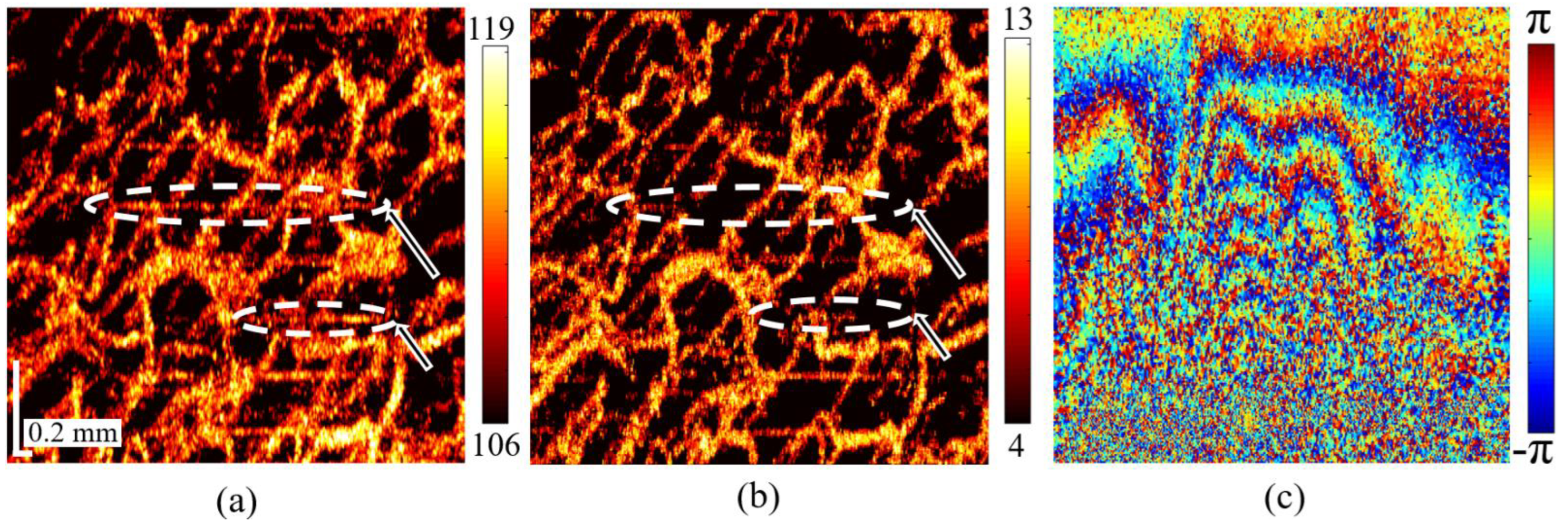 Photonics 09 00401 g008