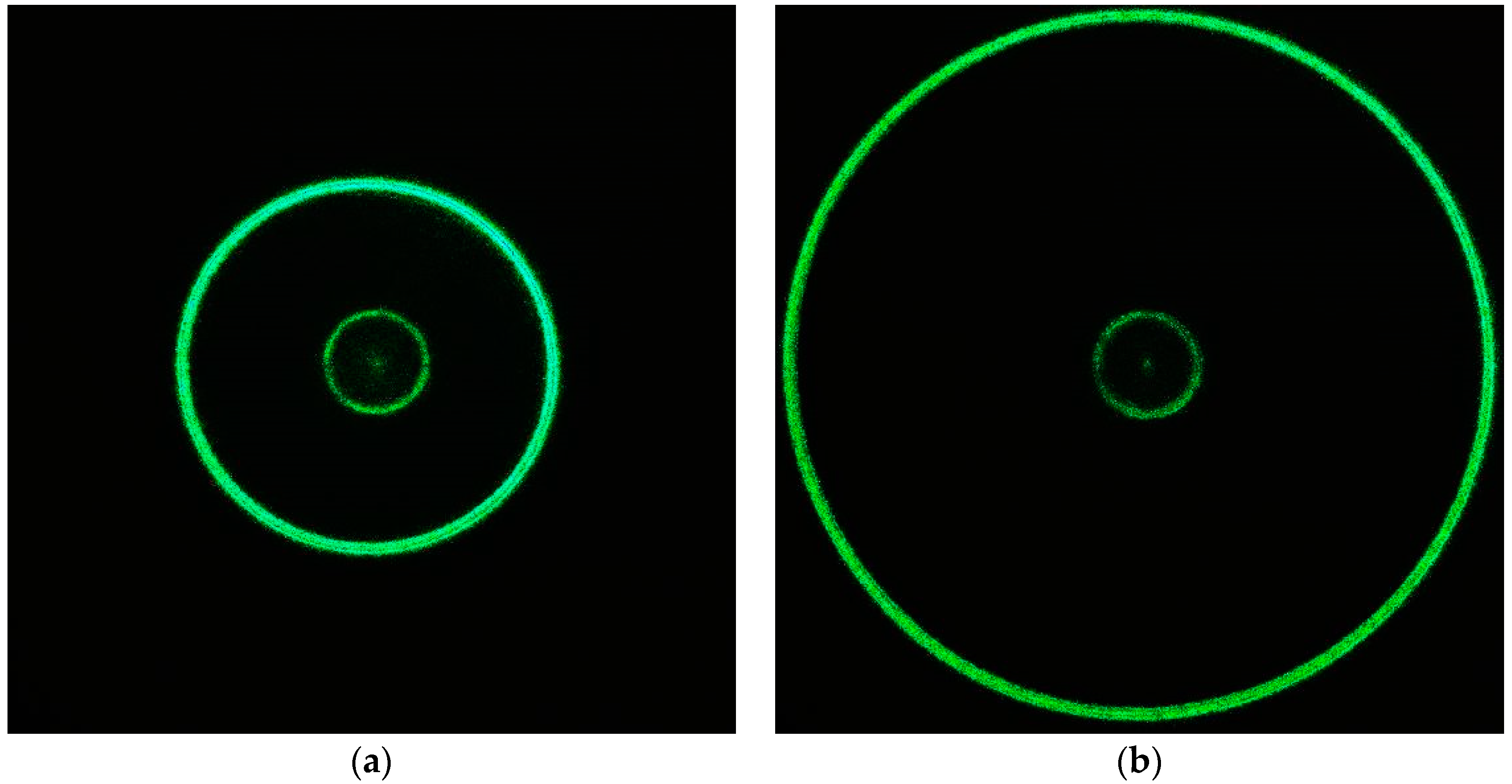Photonics 09 00421 g009