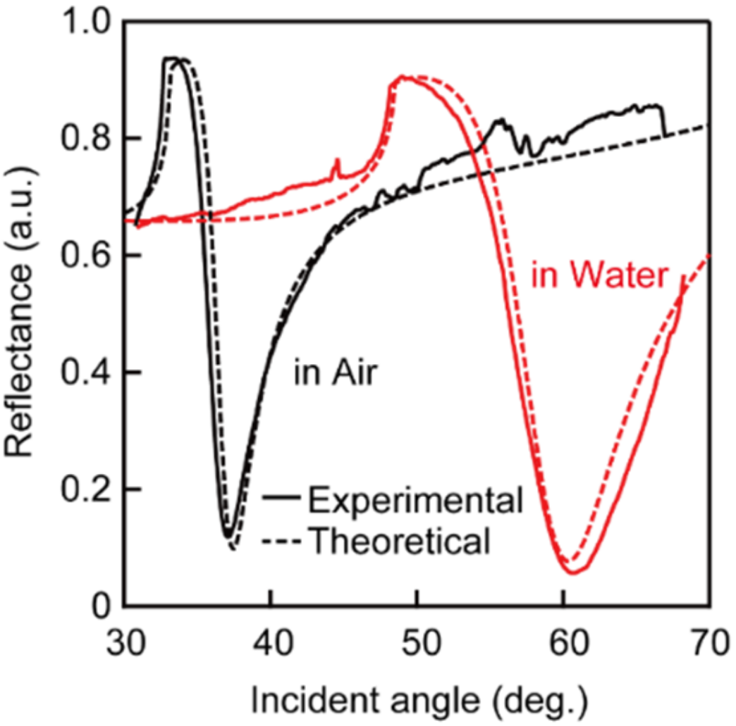 Photonics 09 00424 g003
