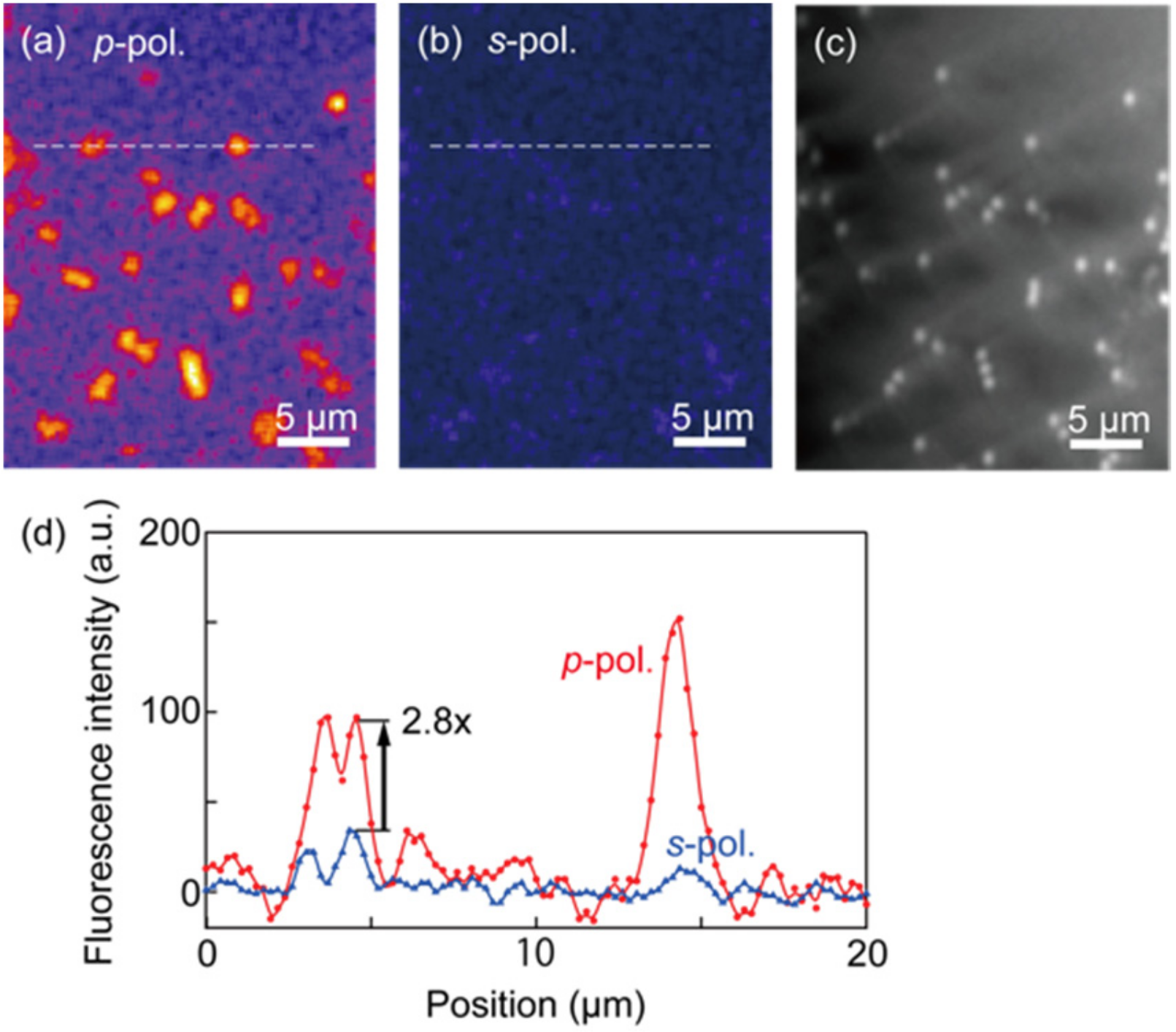Photonics 09 00424 g004