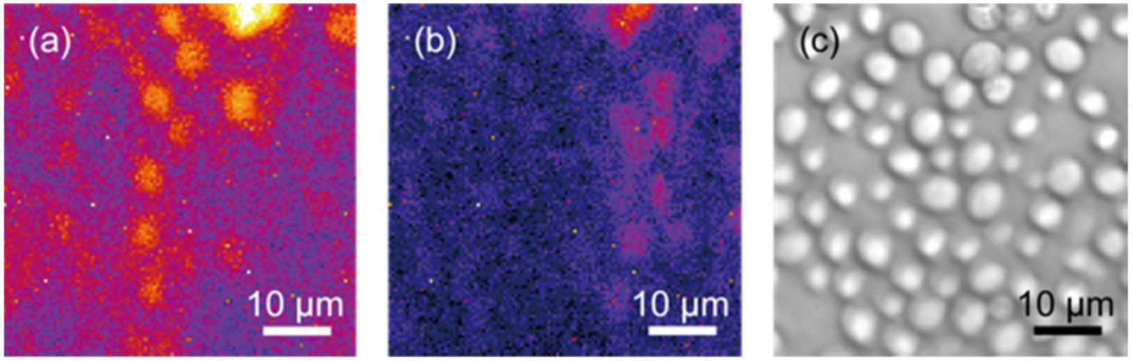 Photonics 09 00424 g005