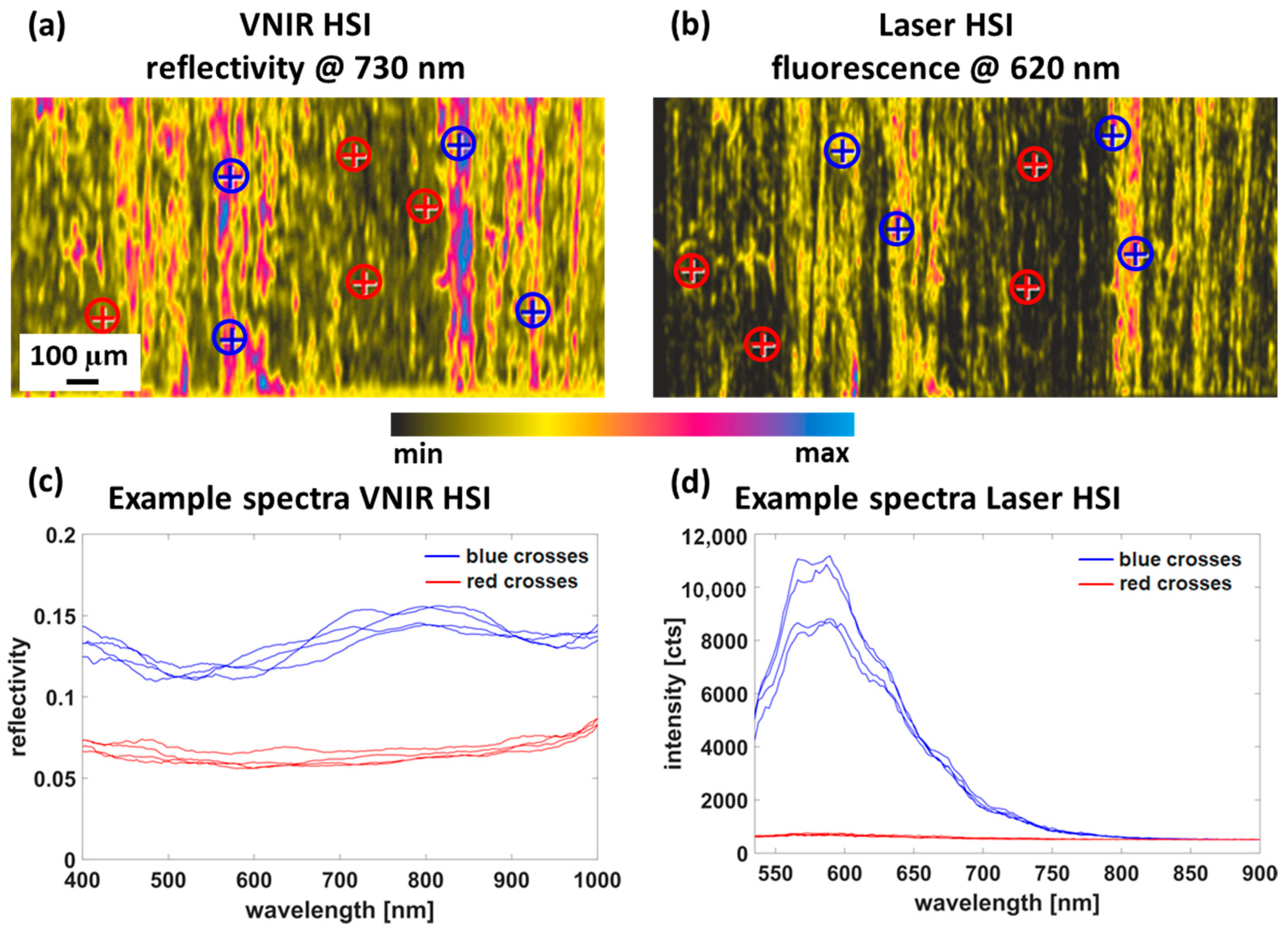 Photonics 09 00439 g006