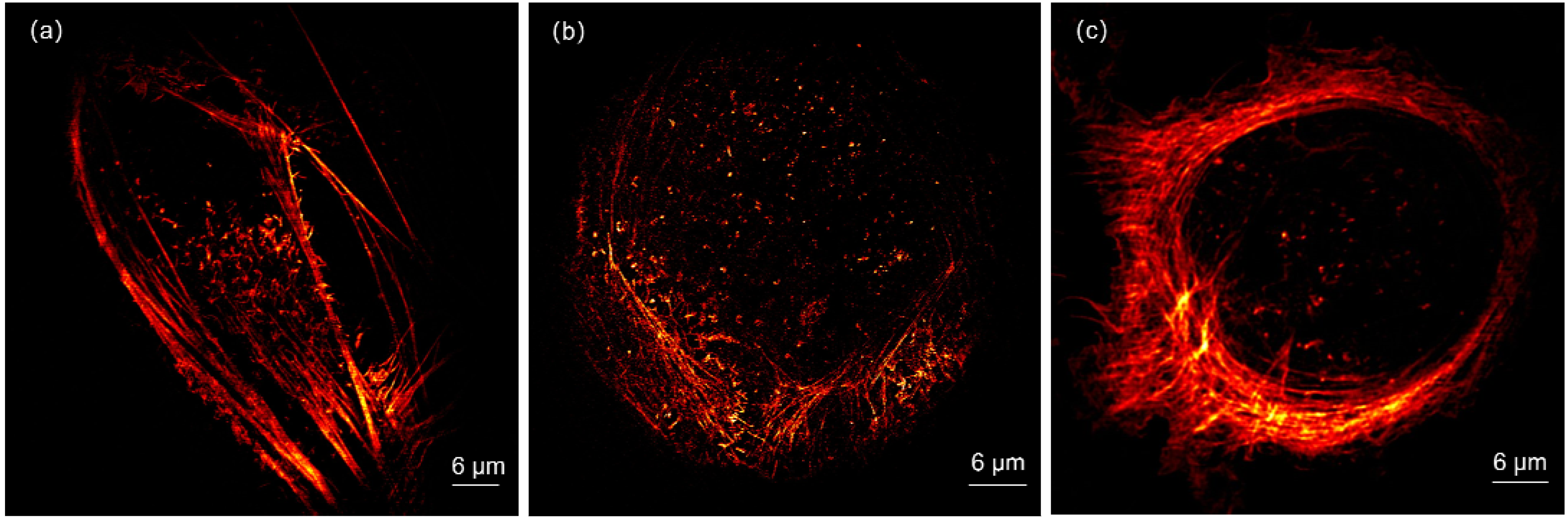 Photonics 09 00461 g003