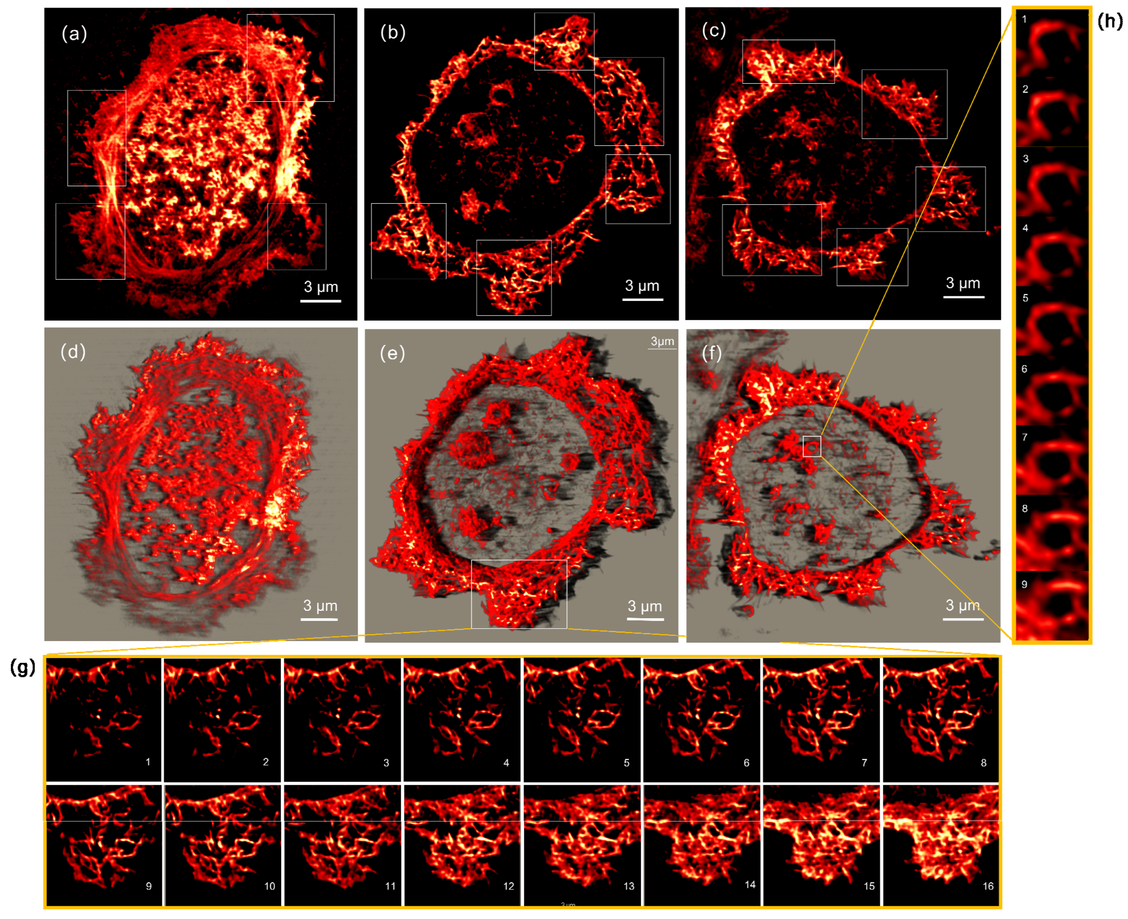 Photonics 09 00461 g004