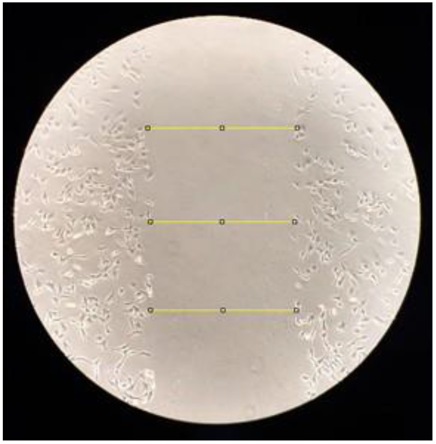 Photonics 09 00469 g001