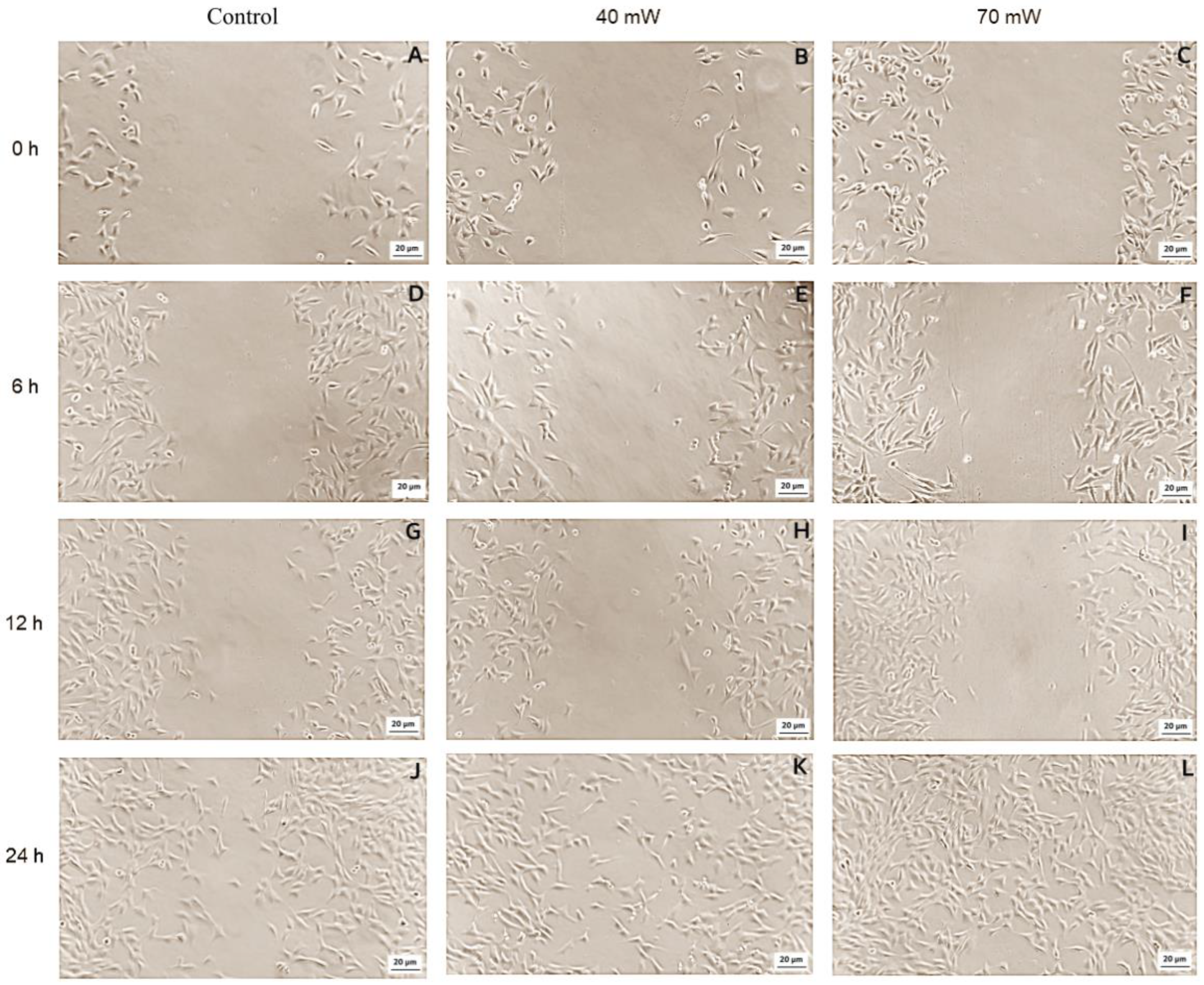Photonics 09 00469 g006