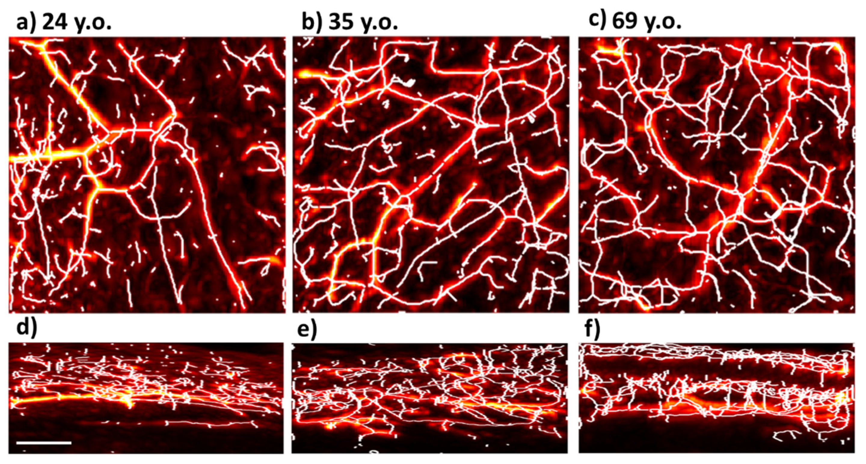 Photonics 09 00482 g004