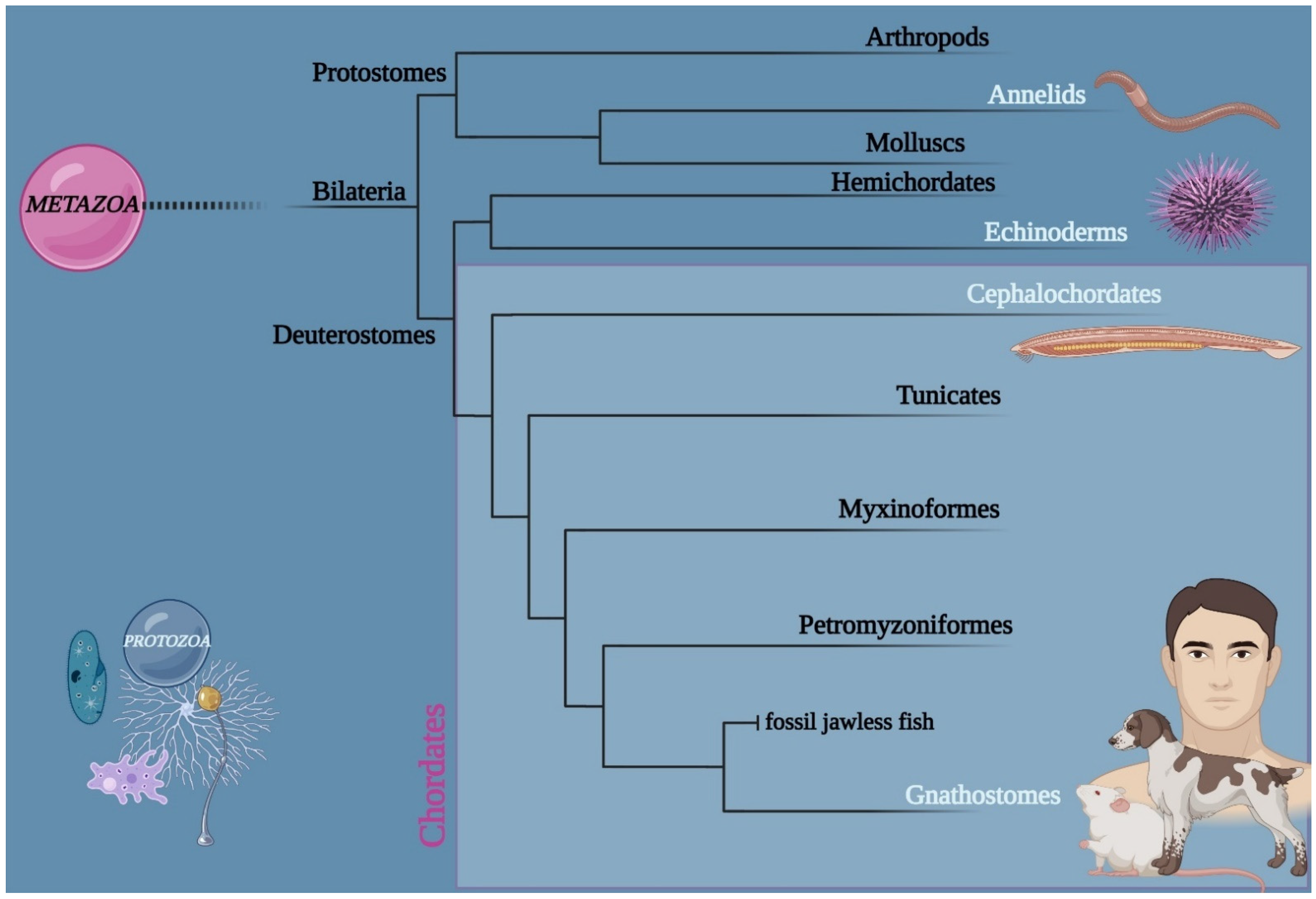 Photonics 09 00503 g001