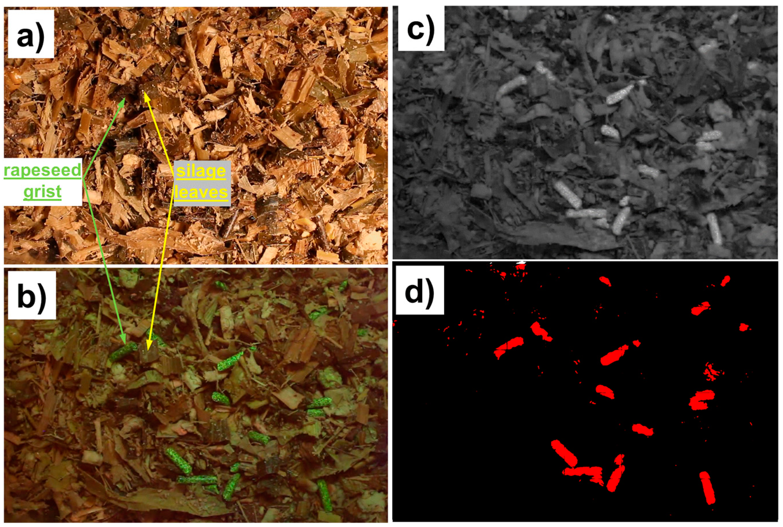 Photonics 09 00521 g005