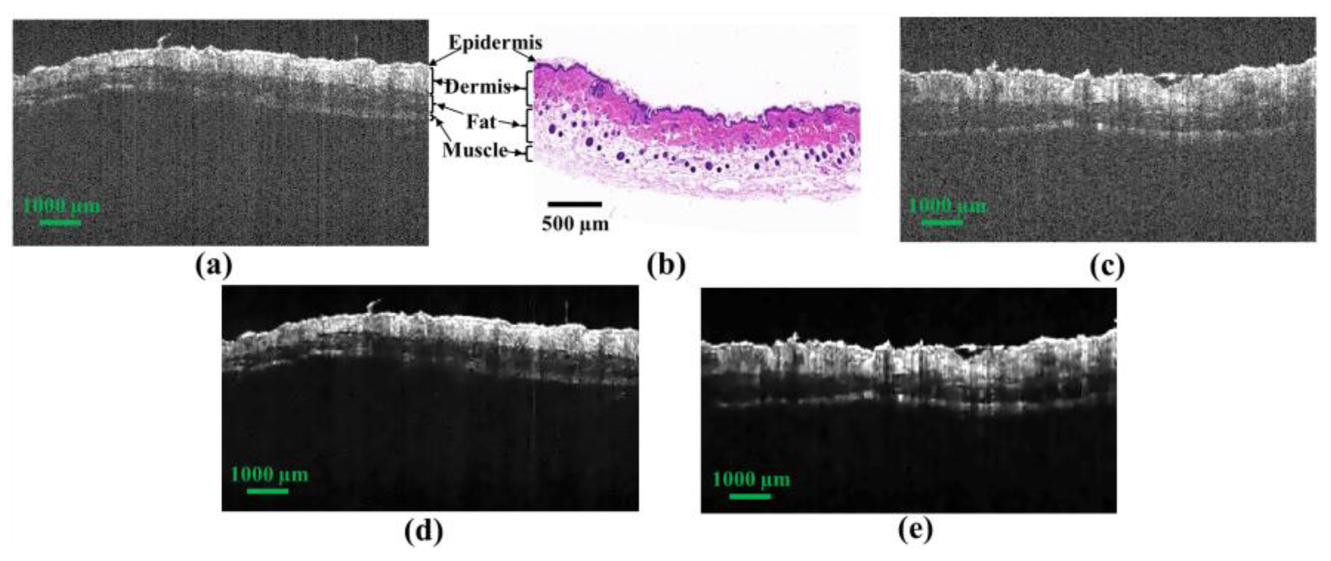 Photonics 09 00543 g001