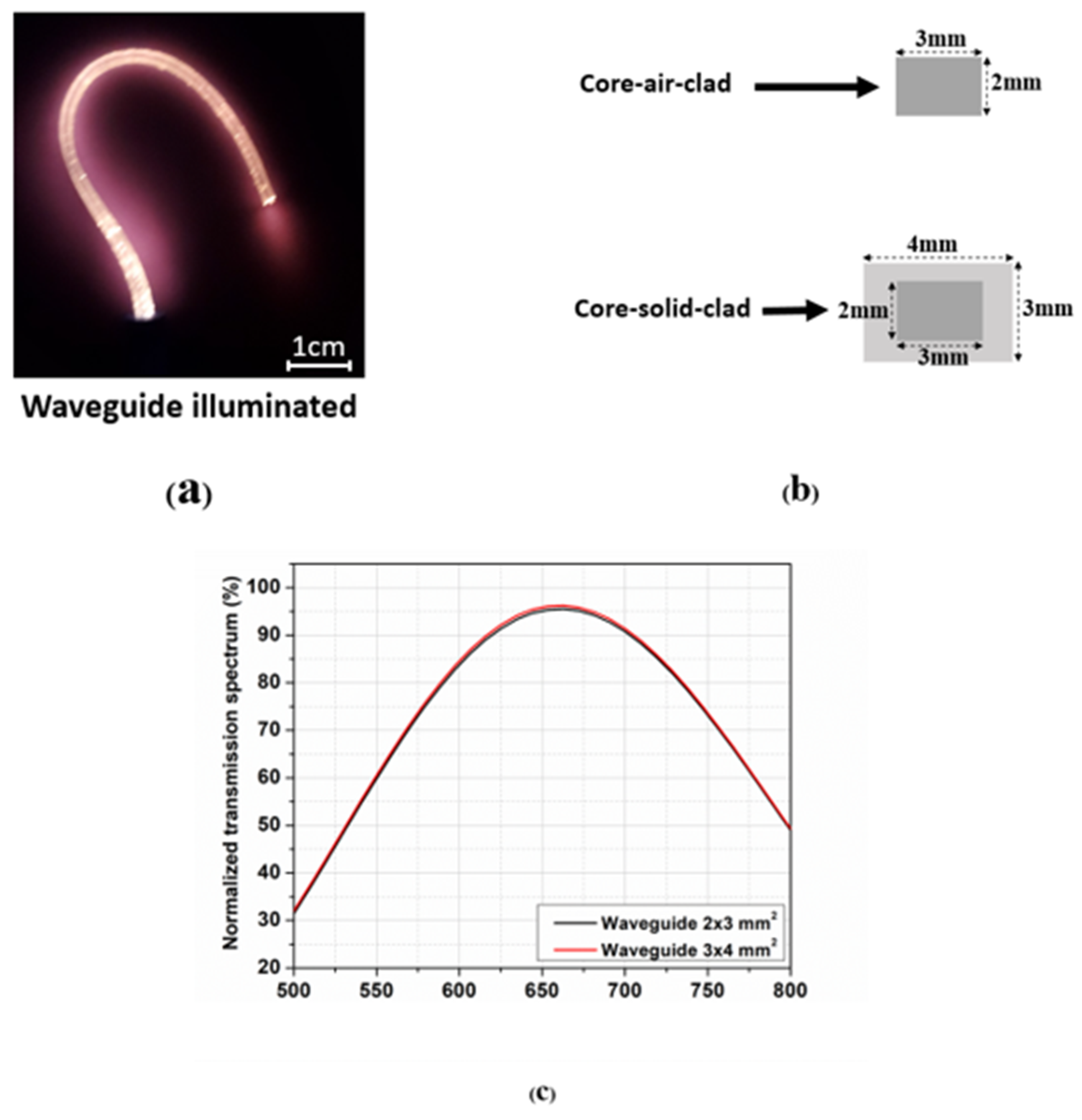 Photonics 09 00557 g003