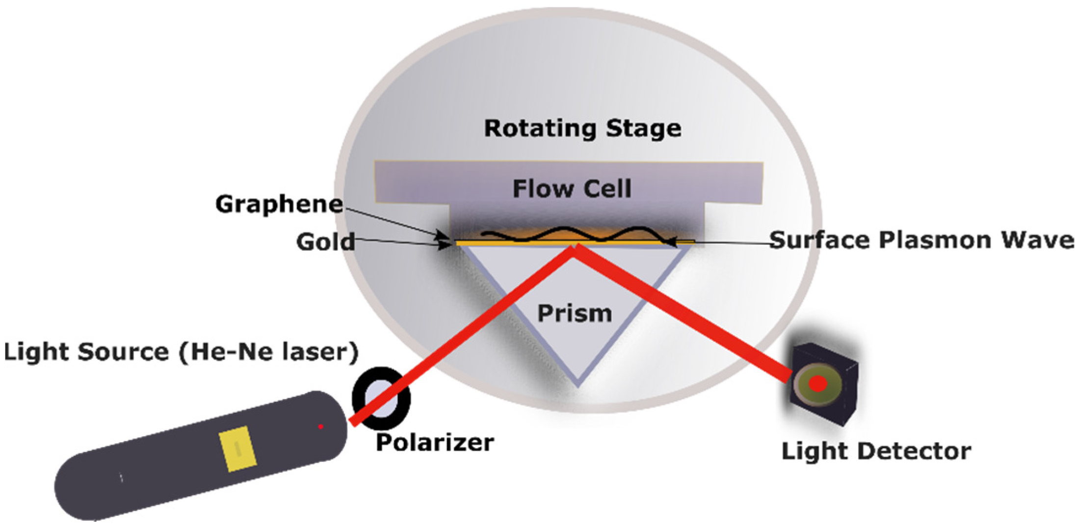 Photonics 09 00588 g001