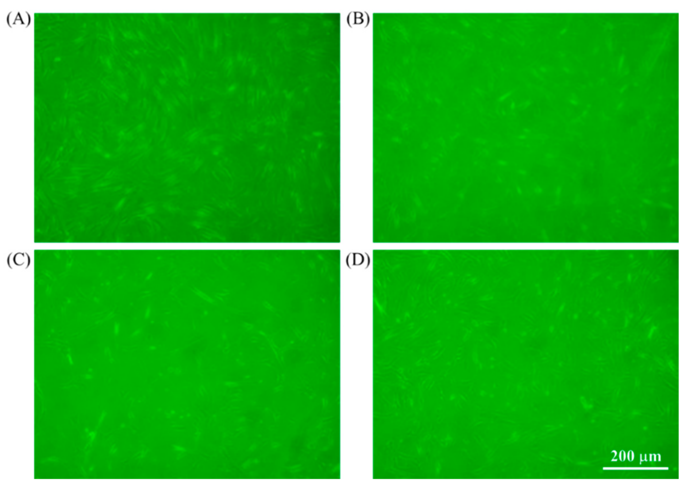 Photonics 09 00591 g002
