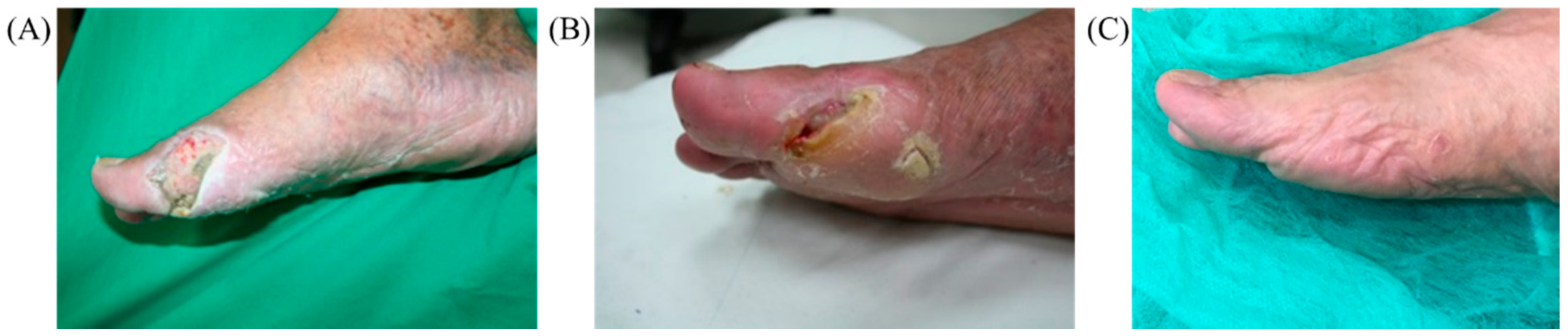 Photonics 09 00591 g004