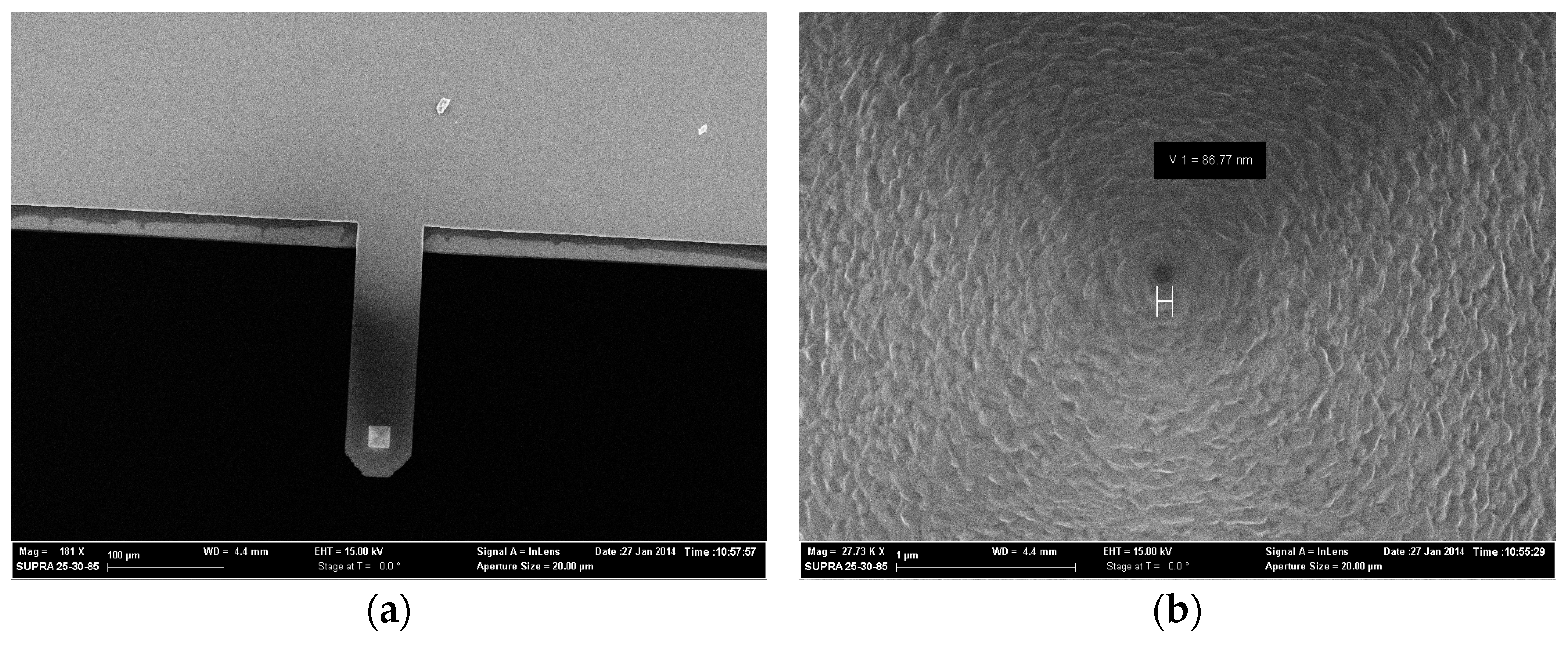 Photonics 09 00592 g007