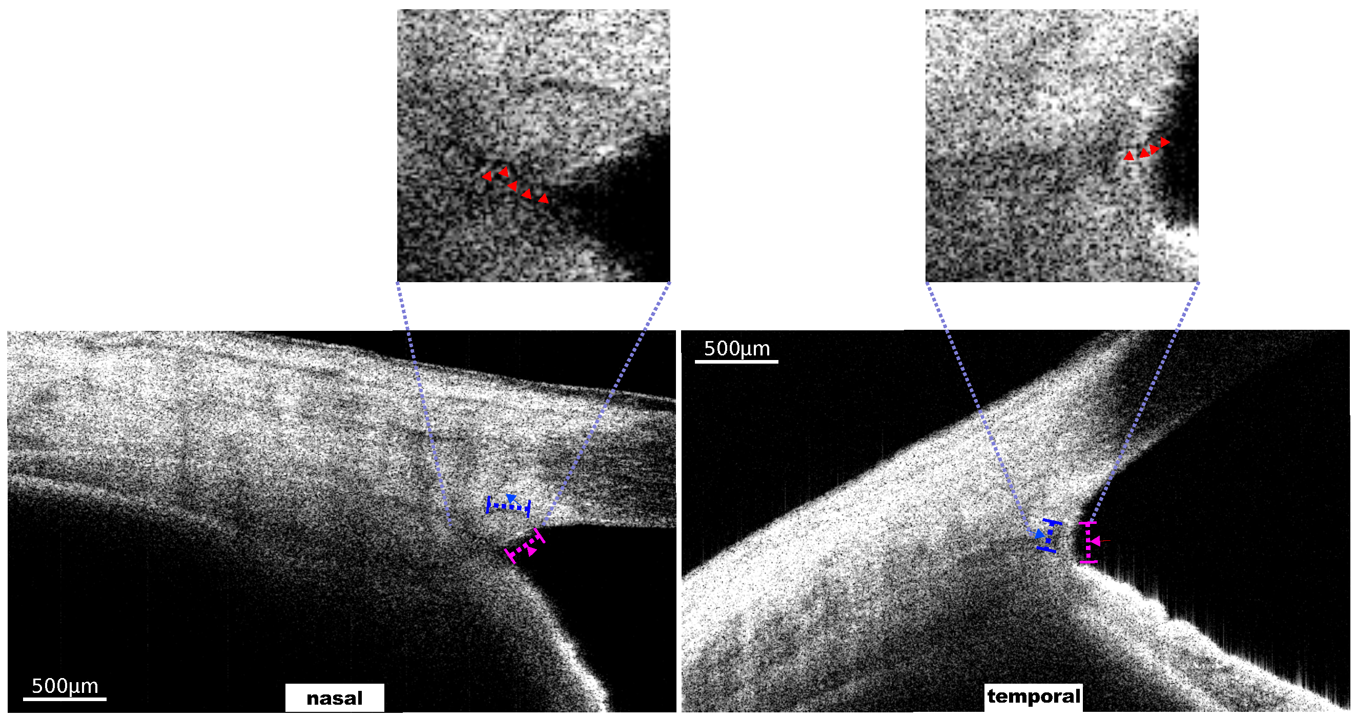 Photonics 09 00593 g006