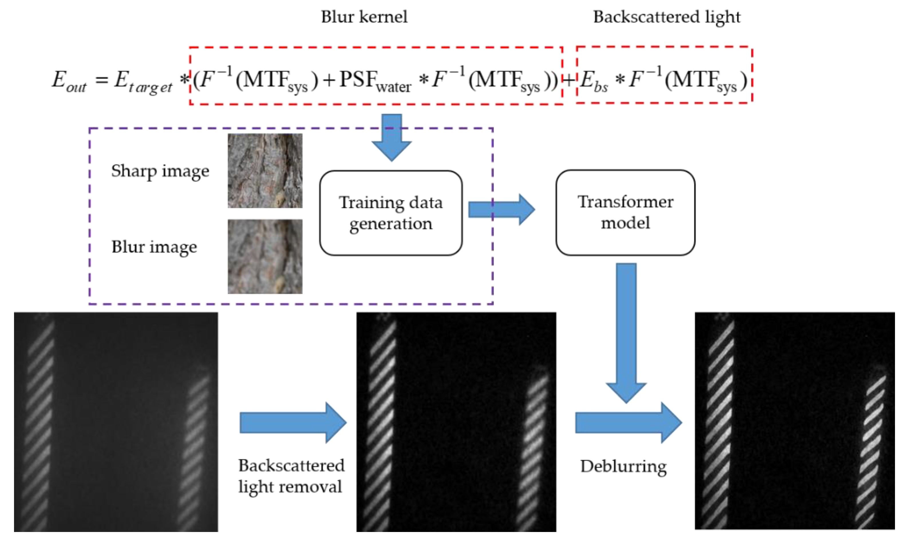 Photonics 09 00642 g003
