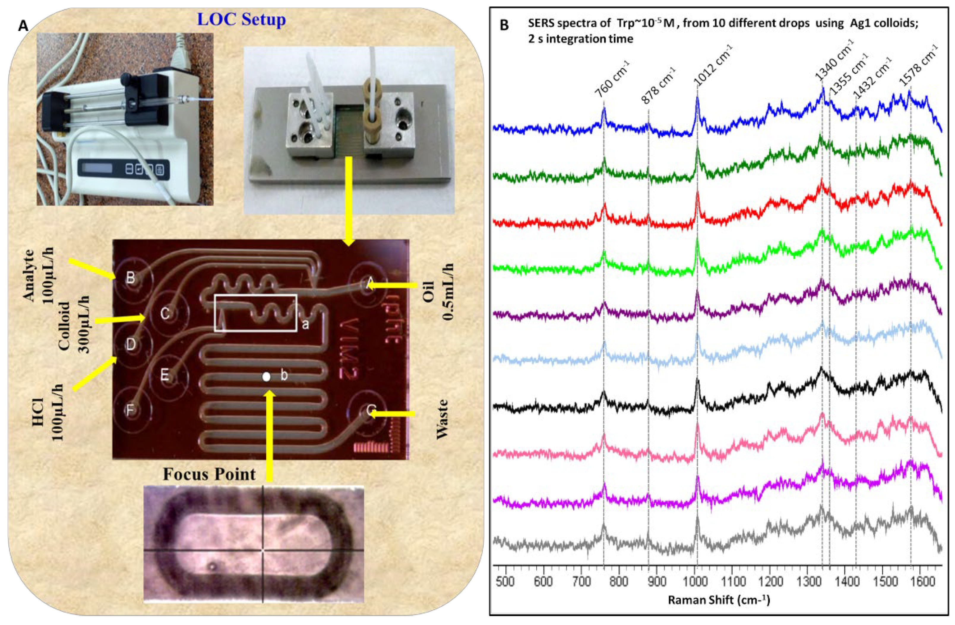 Photonics 09 00648 g006