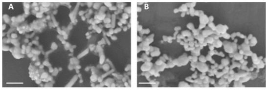 Photonics 09 00648 g0a2 550