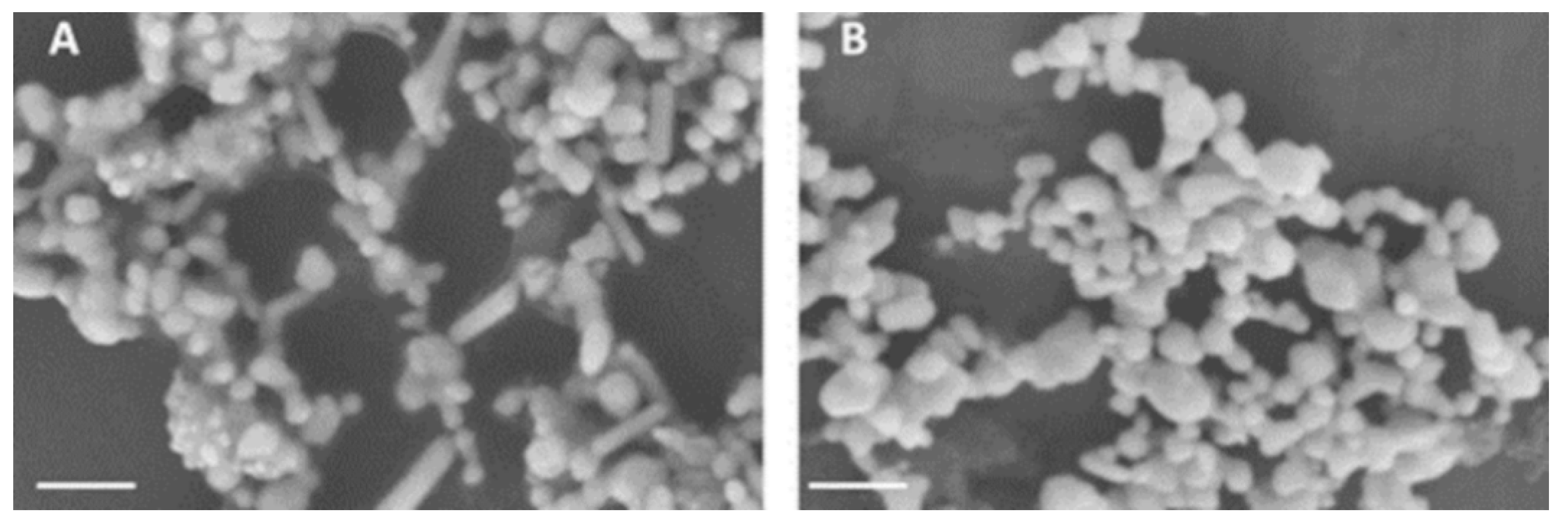 Photonics 09 00648 g0a2