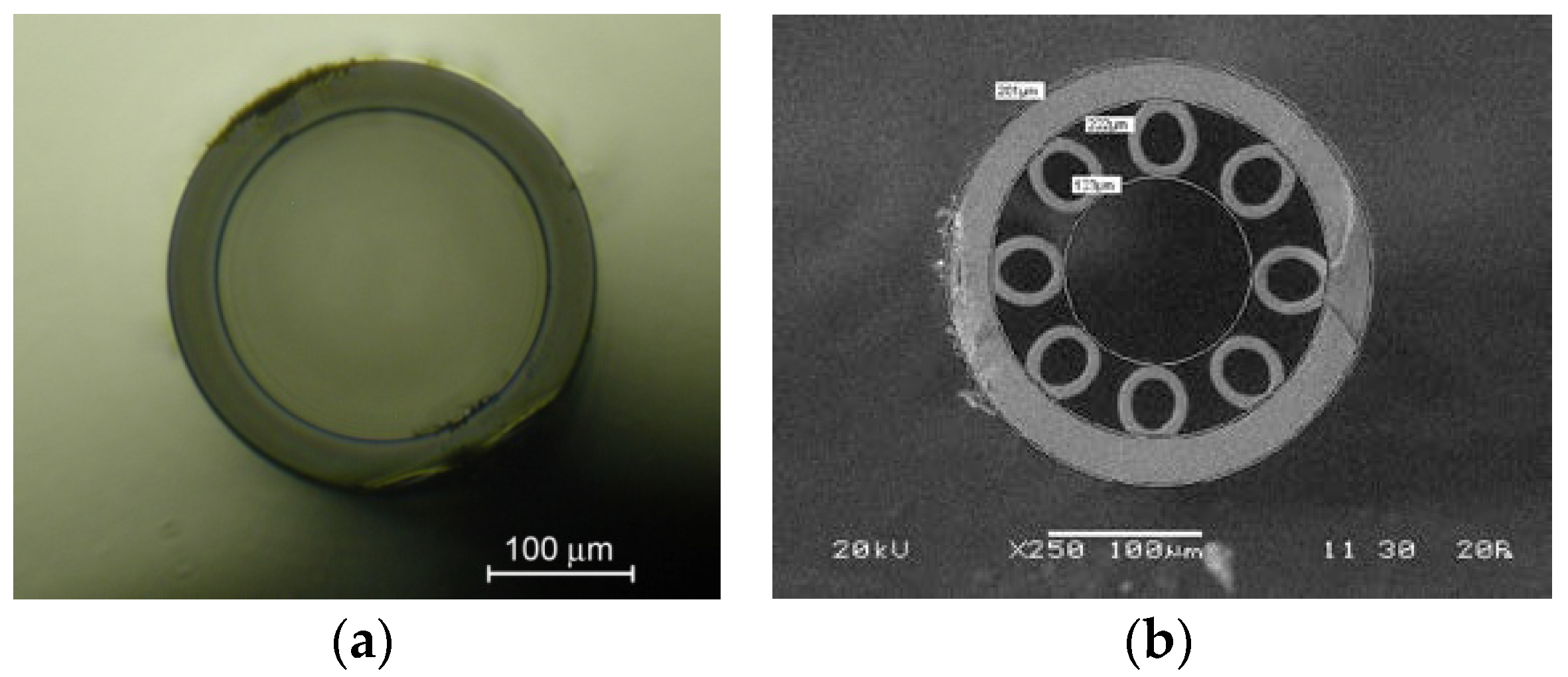 Photonics 09 00752 g004 Photonics 09 00752 g004