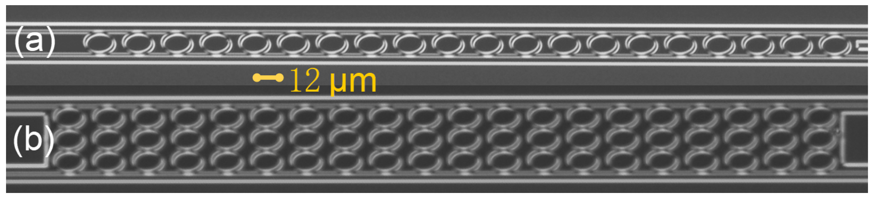 Photonics 09 00814 g005