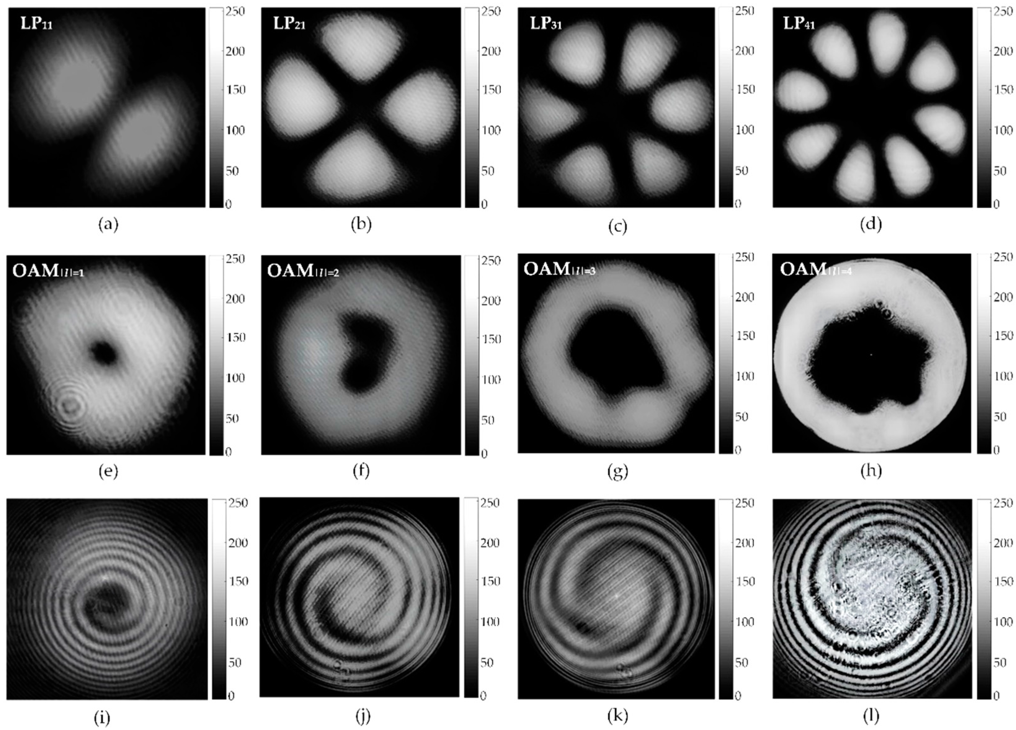 Photonics 09 00823 g006
