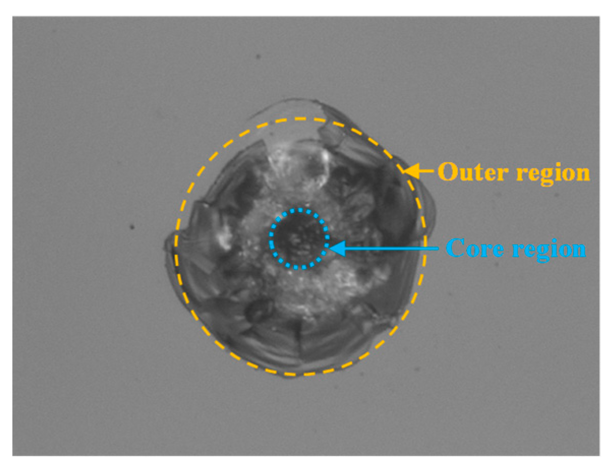 Photonics 09 00834 g004